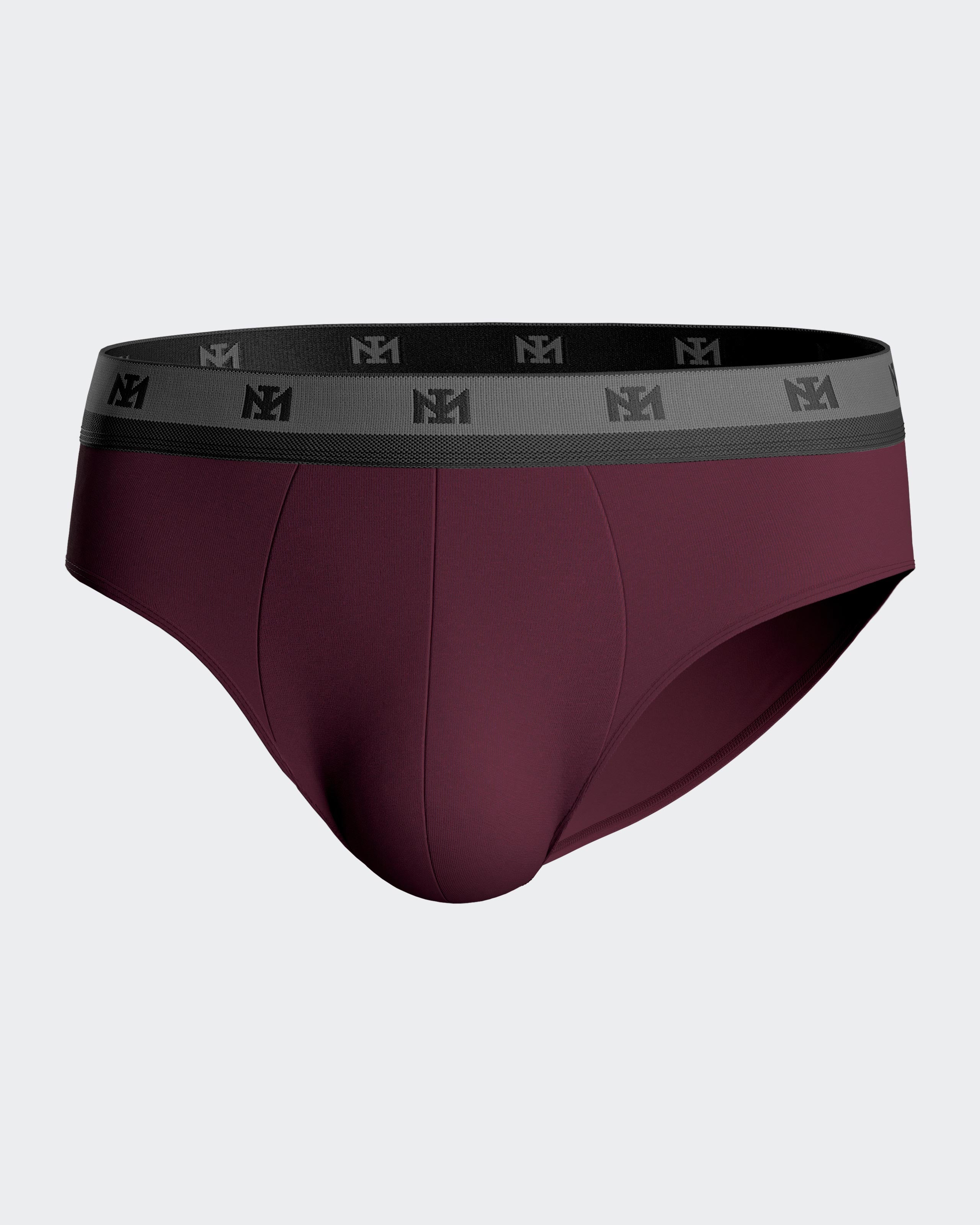 Pack of 2 plain briefs in Lyocell
