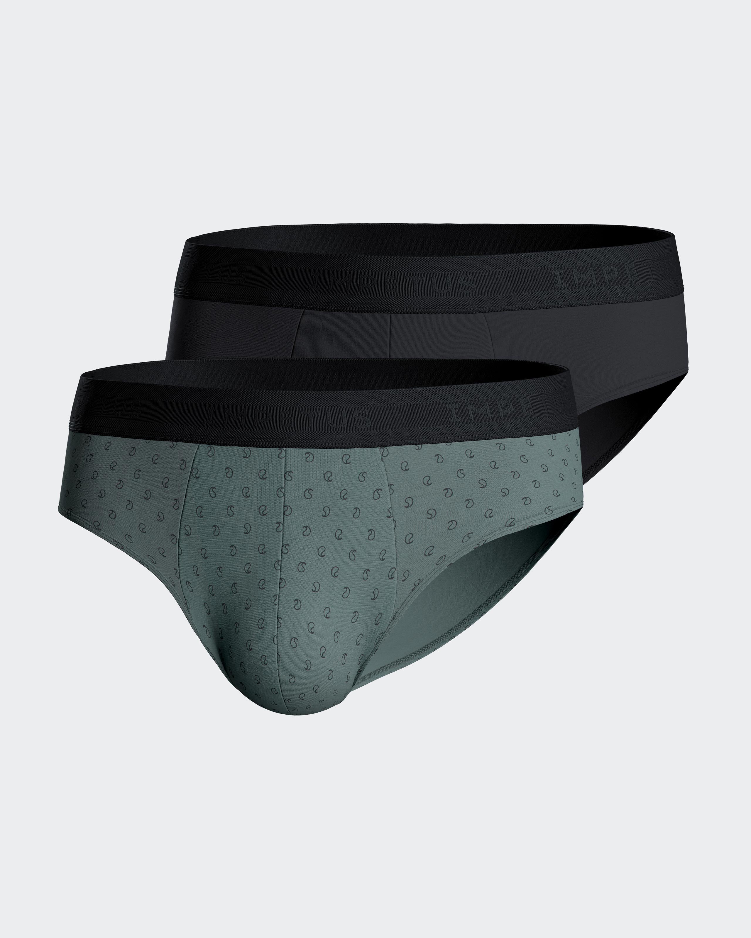 Pack de 2 slips en Coton