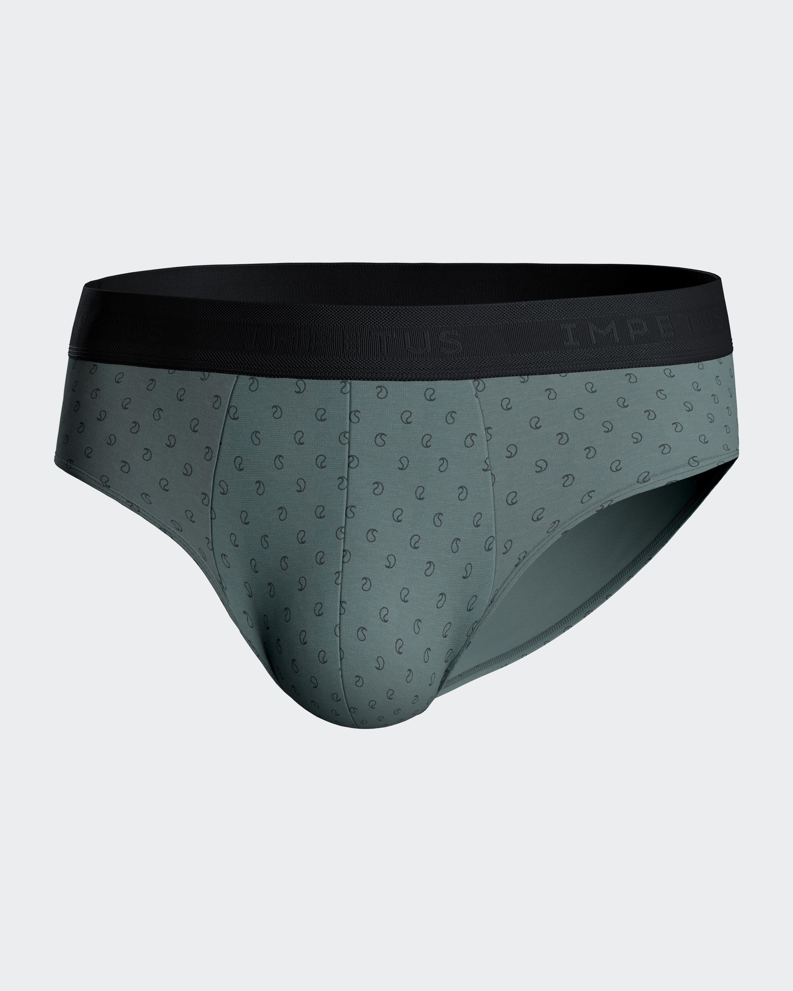 Pack de 2 slips en Coton