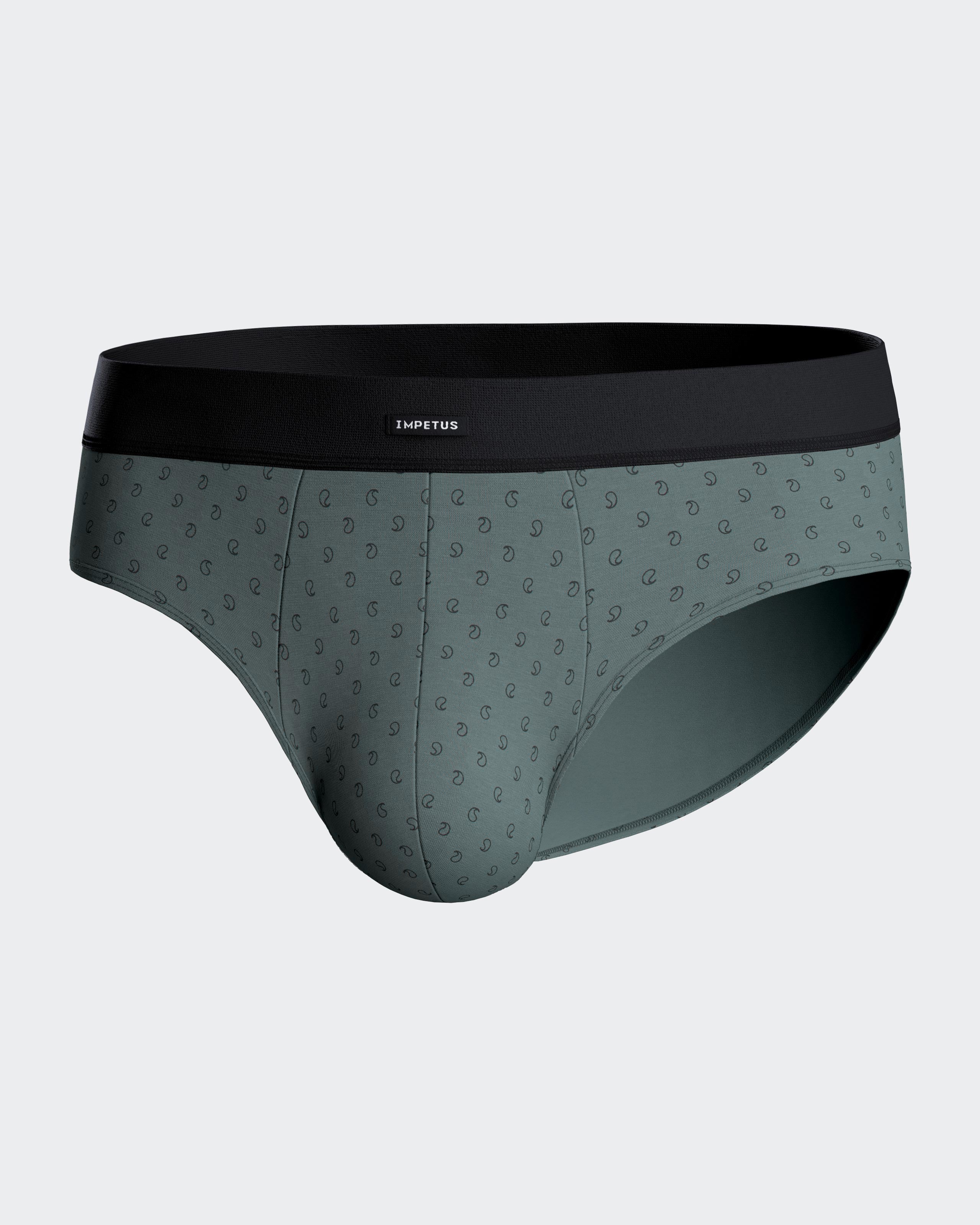 Pack of 2 briefs in Cotton