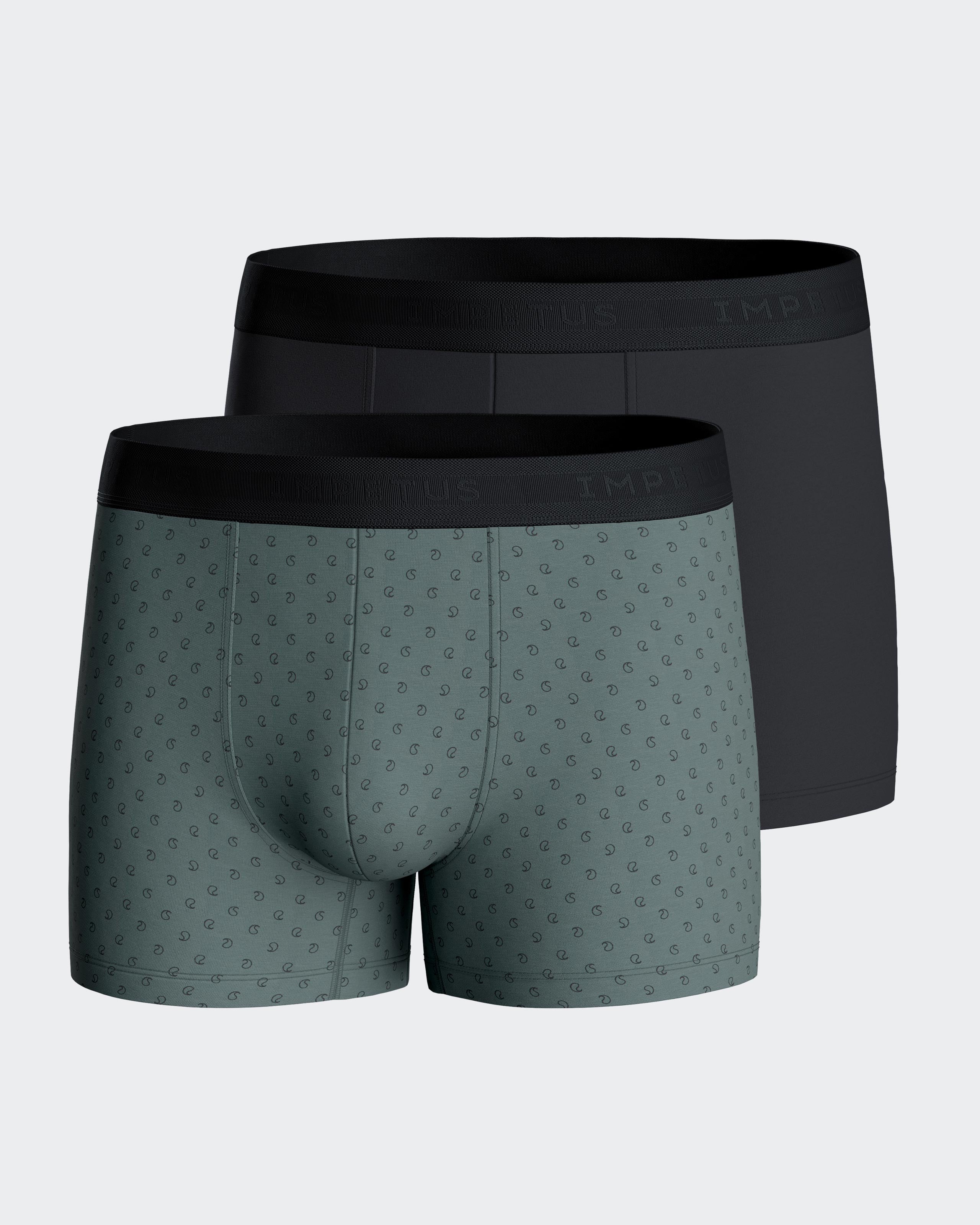 Pack of 2 boxers in Cotton