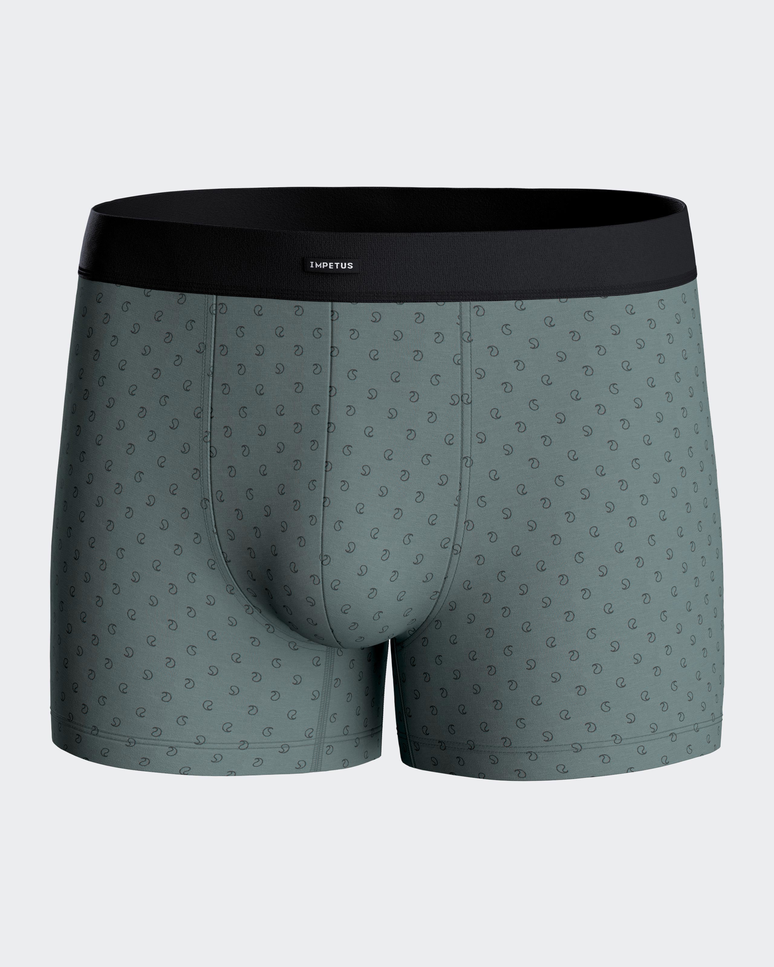 Pack of 2 boxers in Cotton