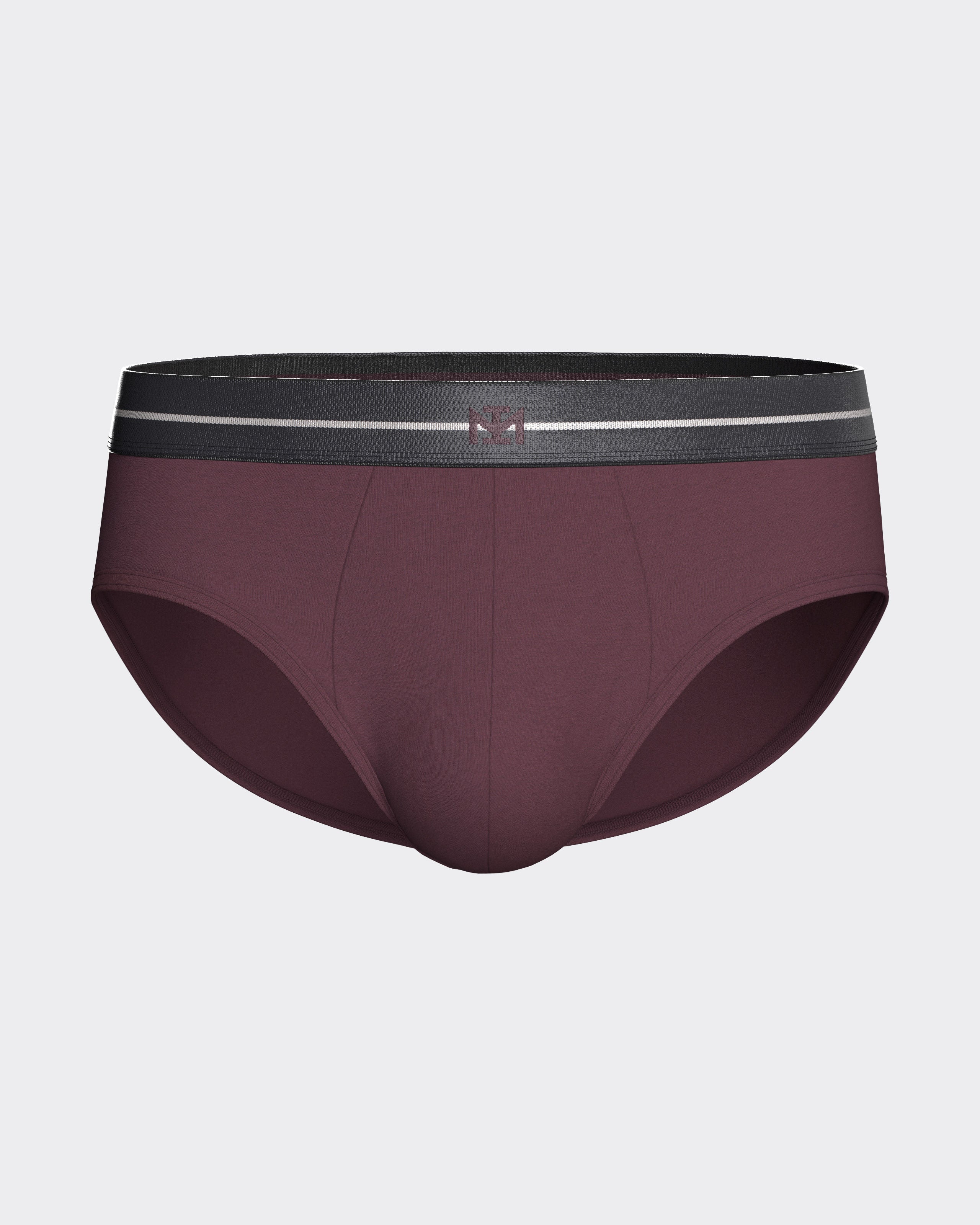Packung mit 2 Herren-Slips aus Modal-Baumwolle