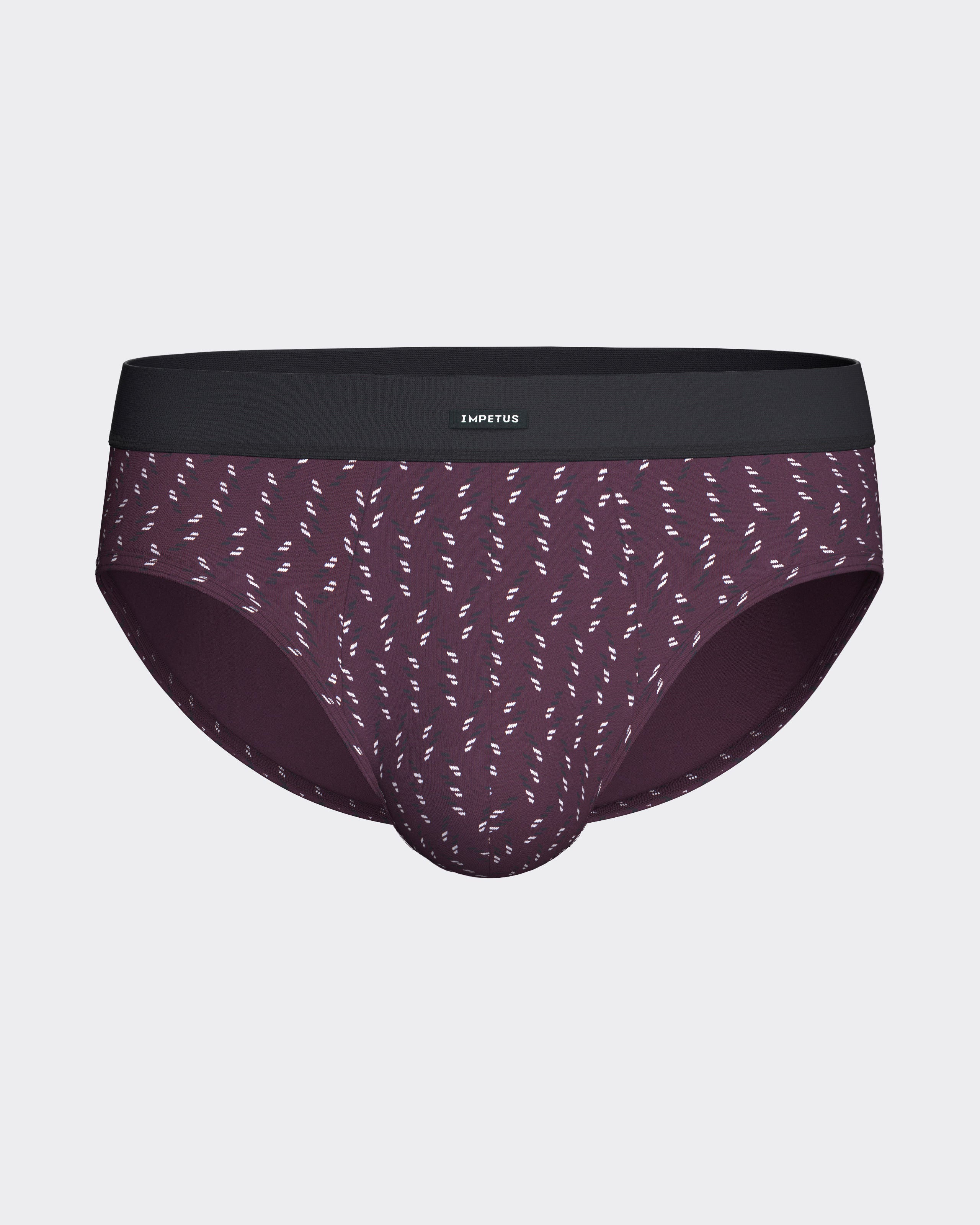 Pack of 2 men's briefs in Modal Cotton