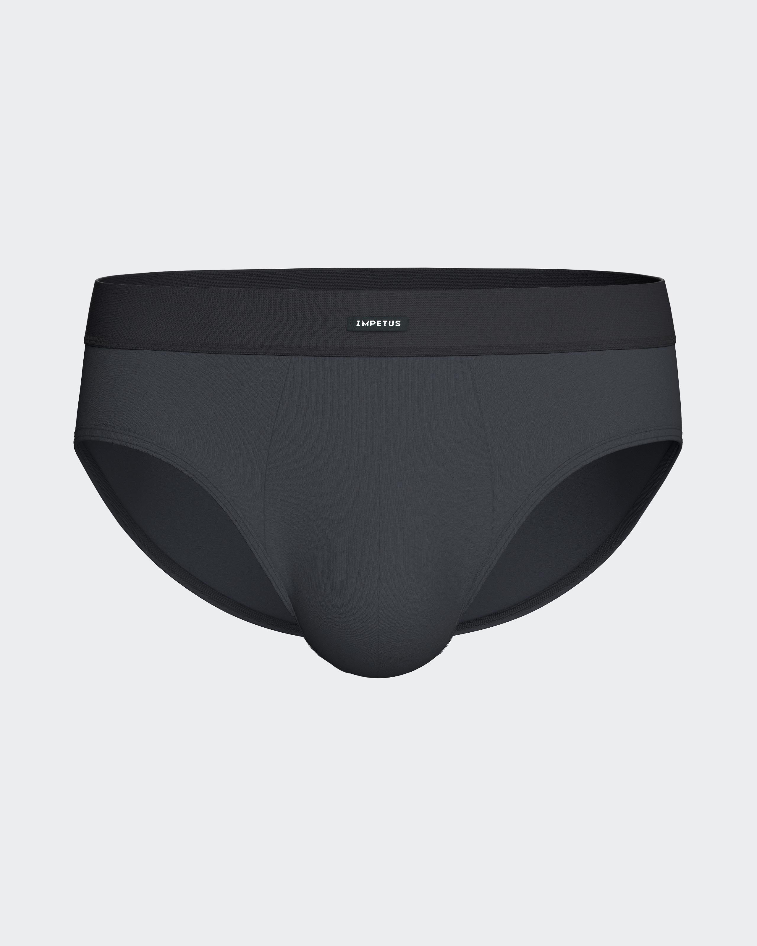 Pack of 2 men's briefs in Modal Cotton