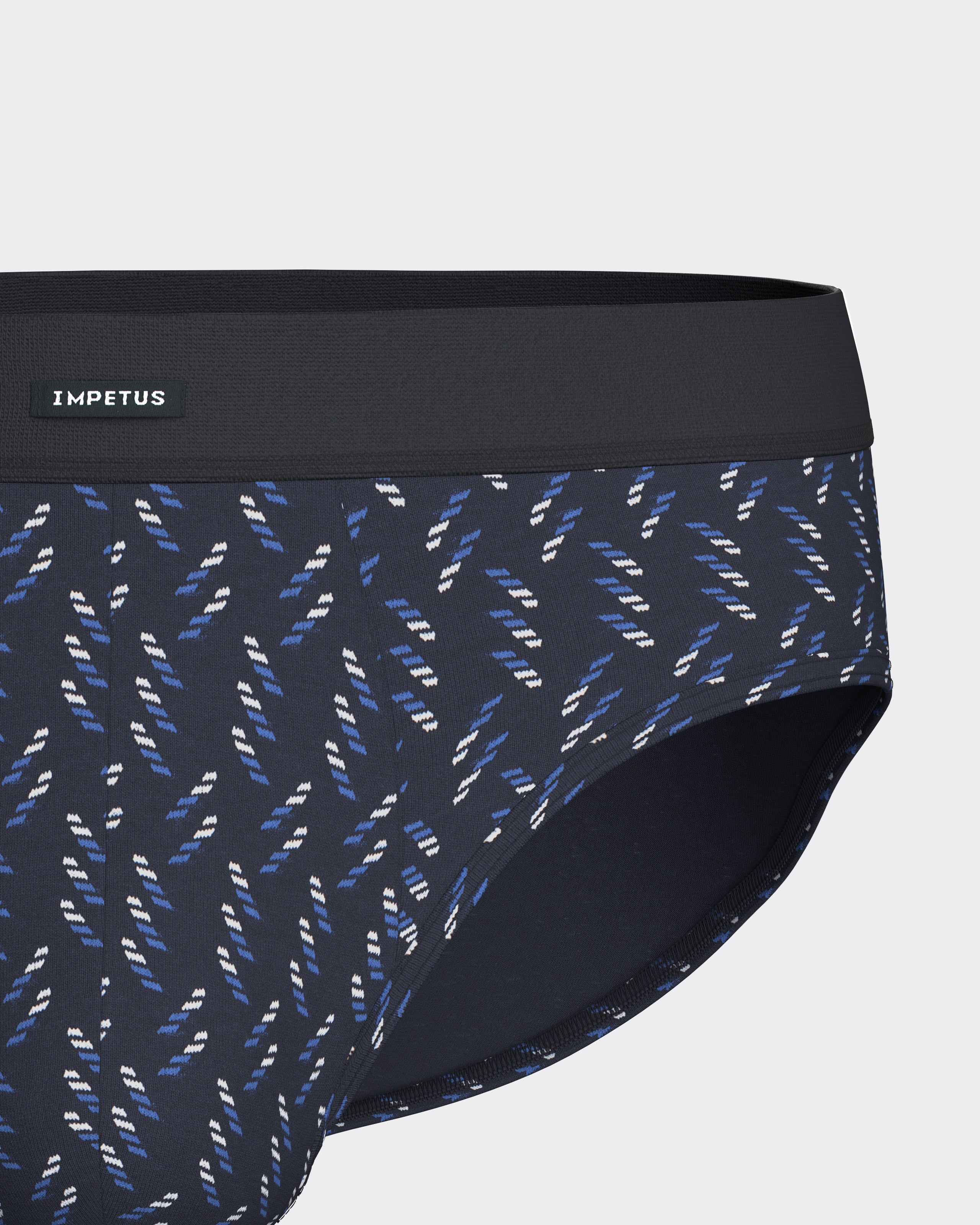 Pack of 2 men's briefs in Modal Cotton