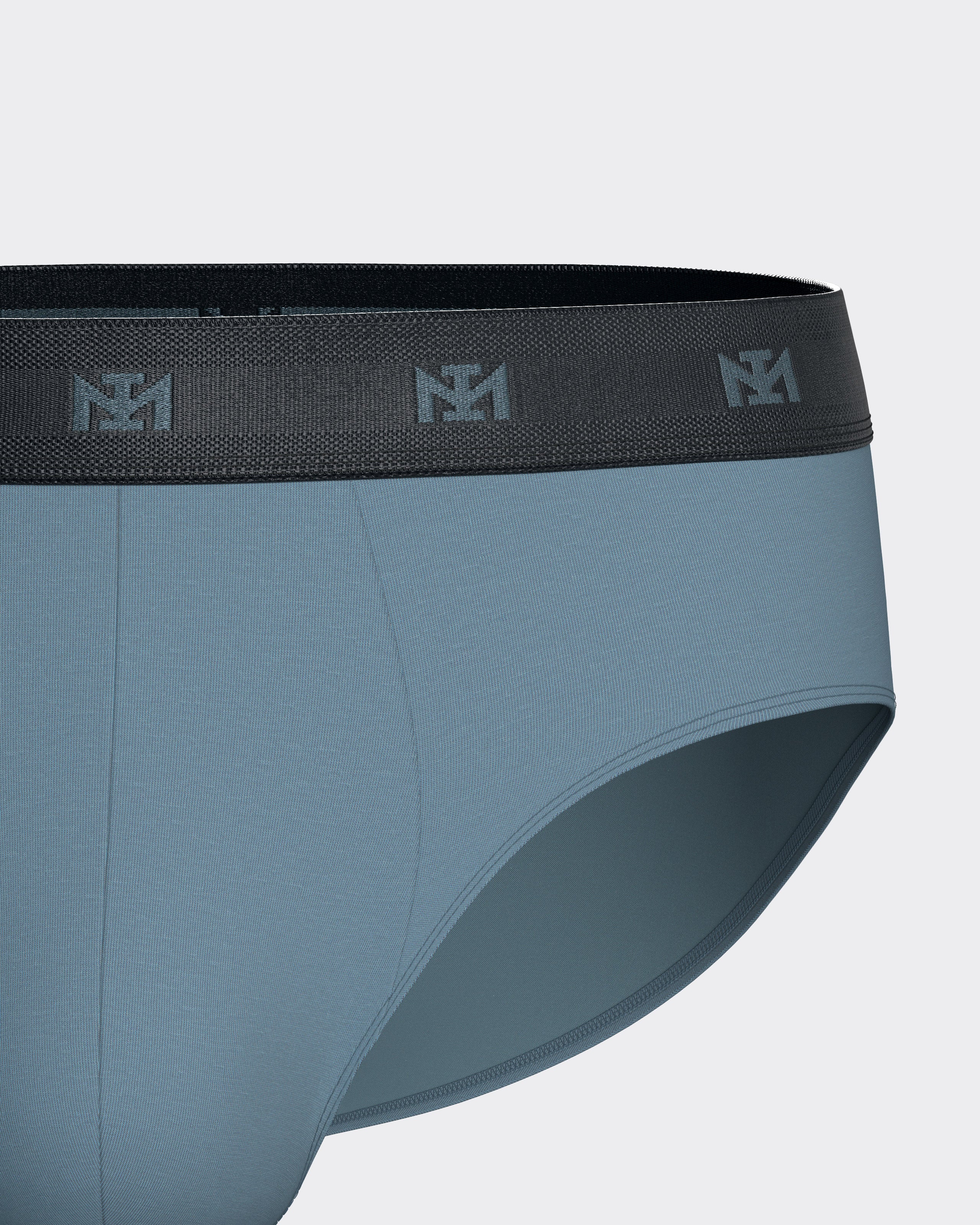 Pack of 2 men's briefs in Lyocell