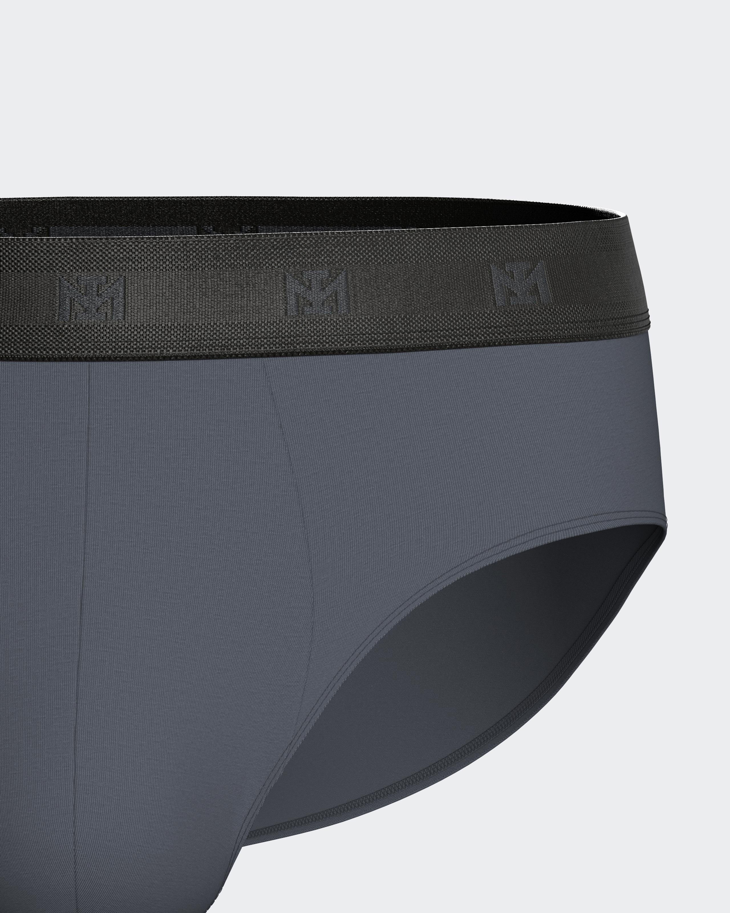 Pack of 2 men's briefs in Lyocell