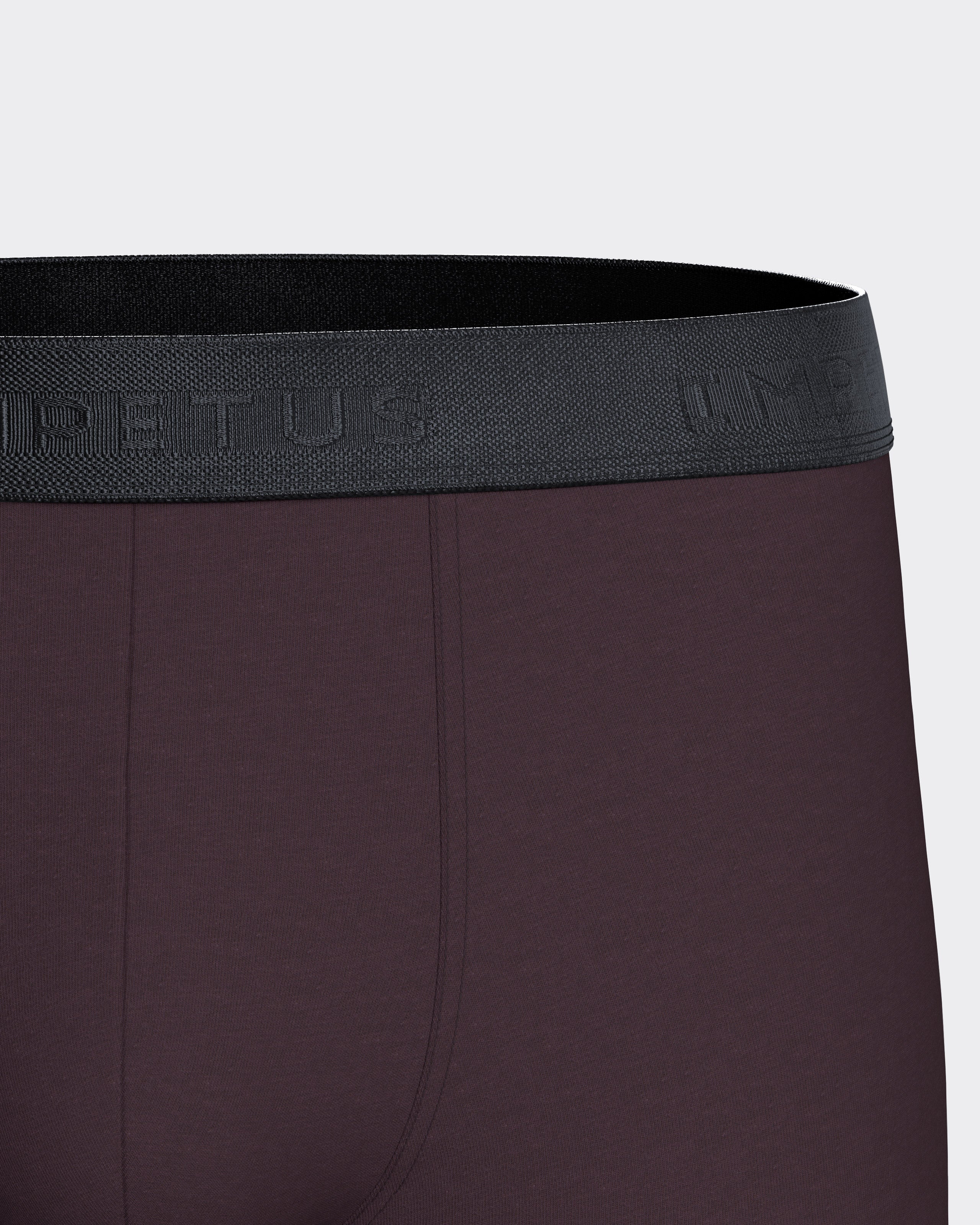 Pack de 2 boxers de homem em Algodão