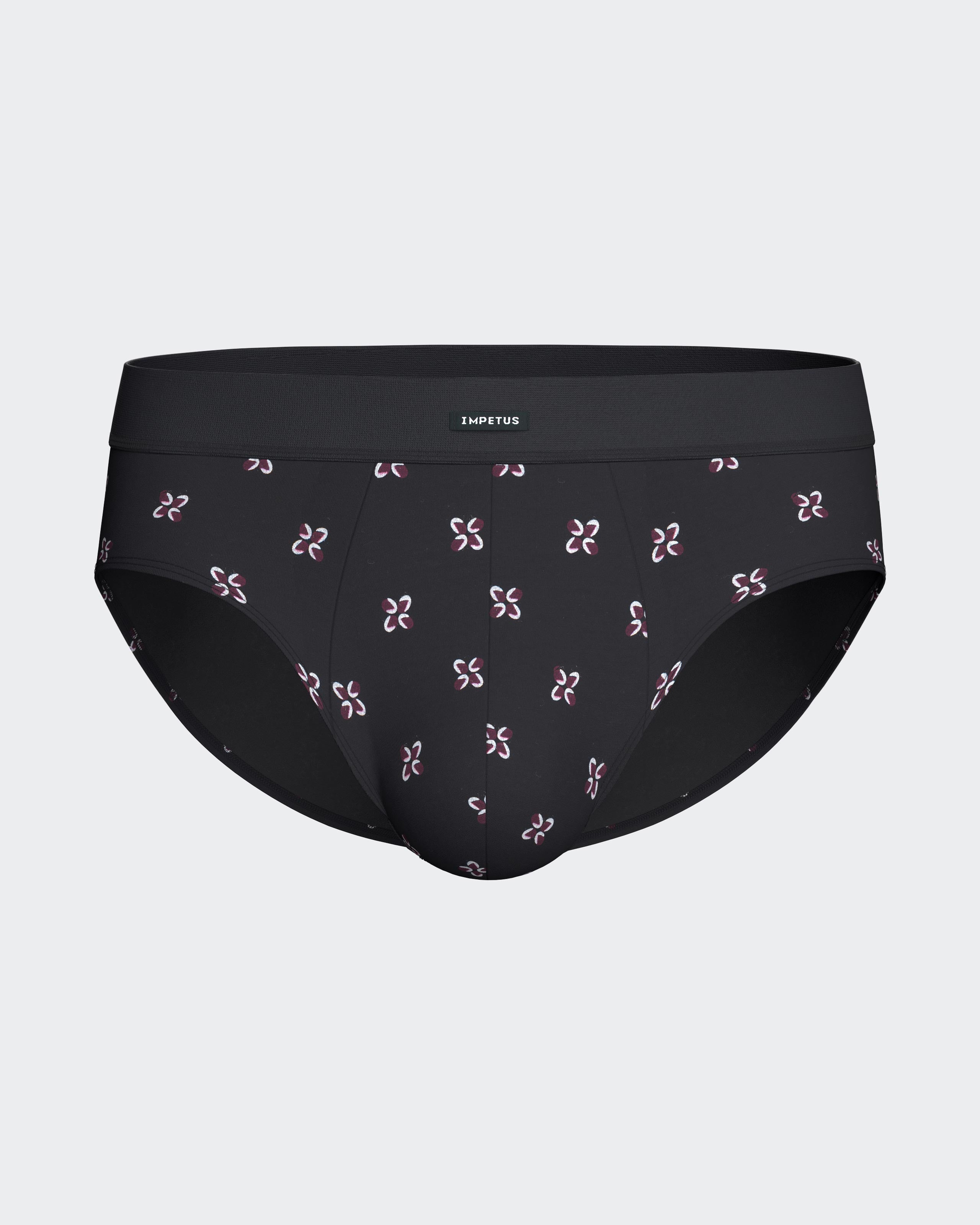 Pack of 2 men's briefs in cotton