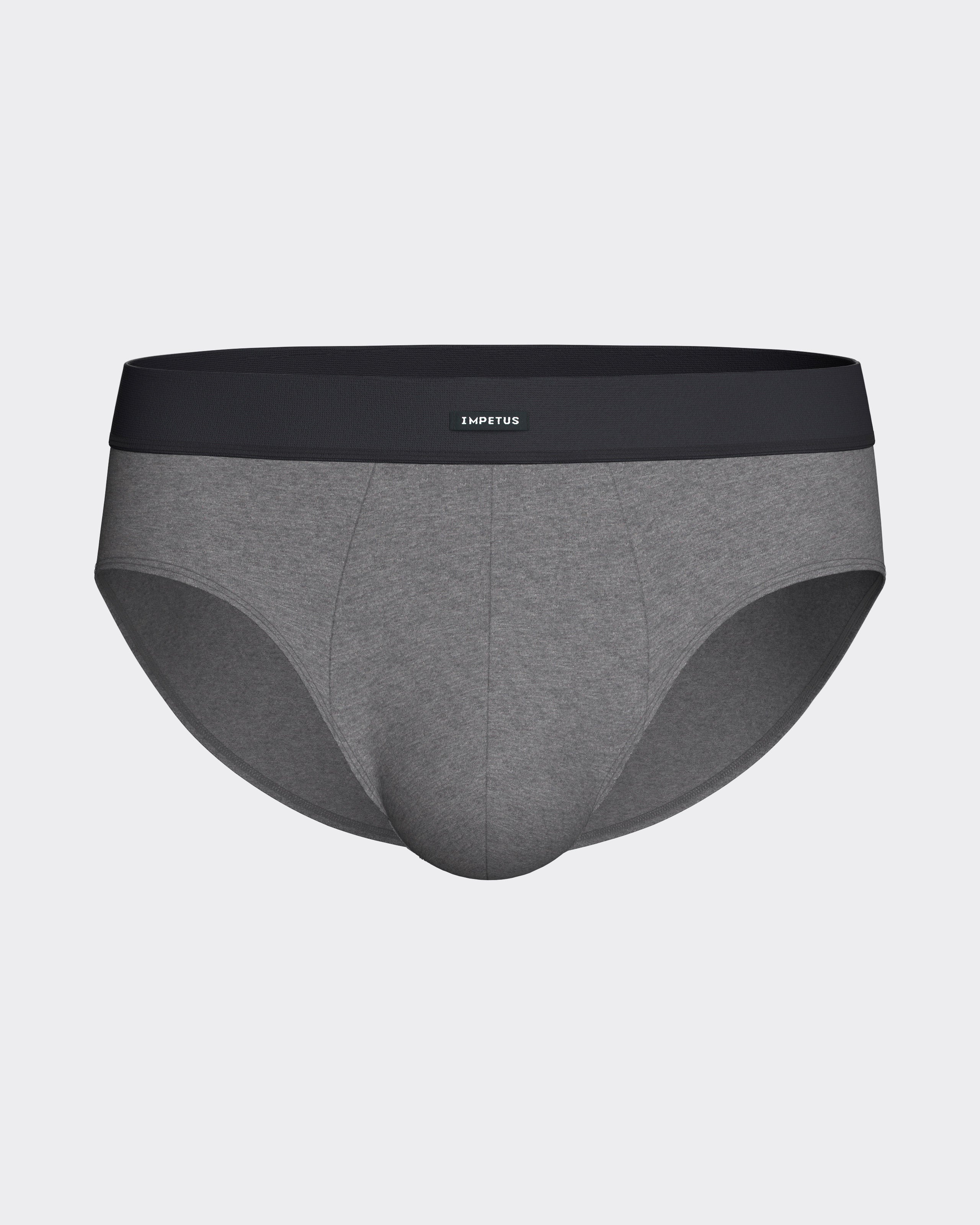 Pack of 2 men's briefs in cotton