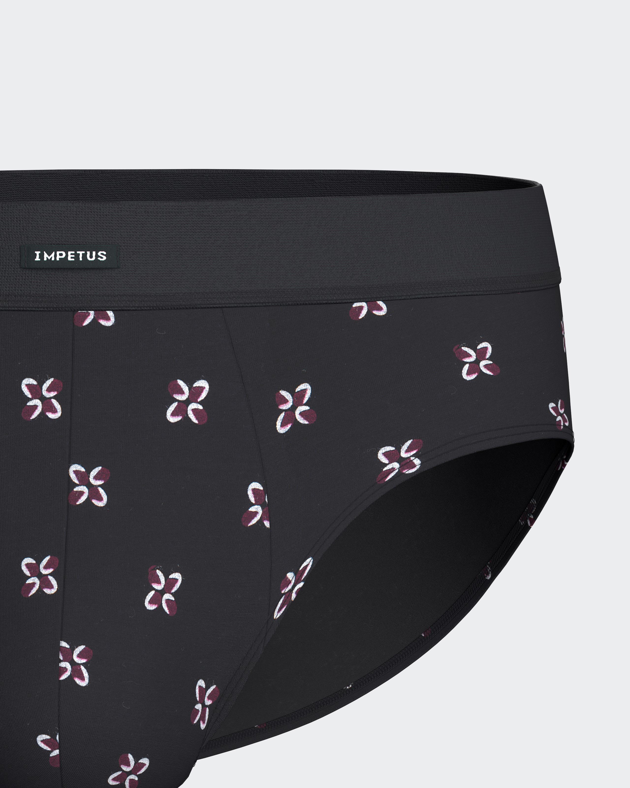 Pack of 2 men's briefs in cotton