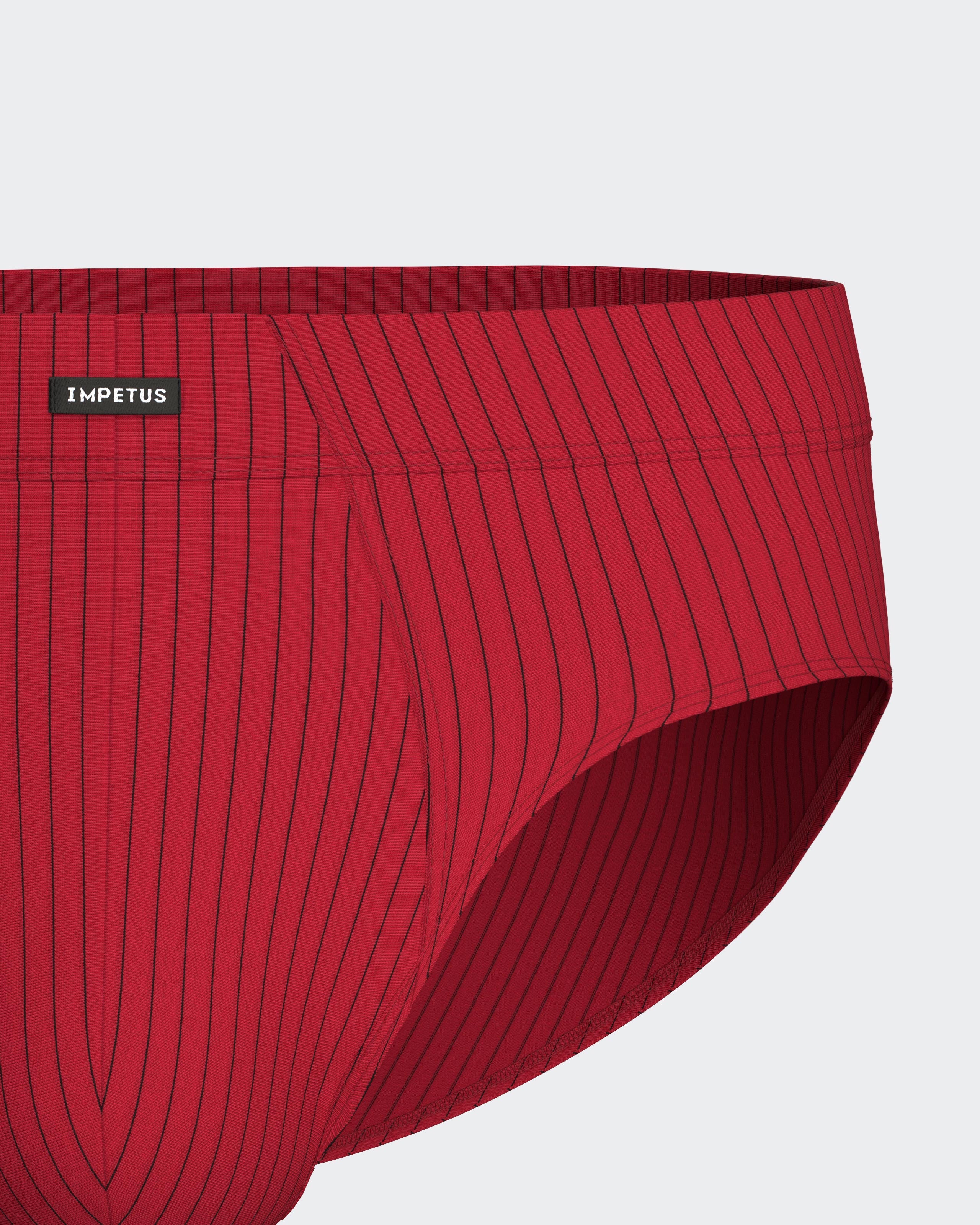 Packung mit 2 Herren-Slips aus Lyocell