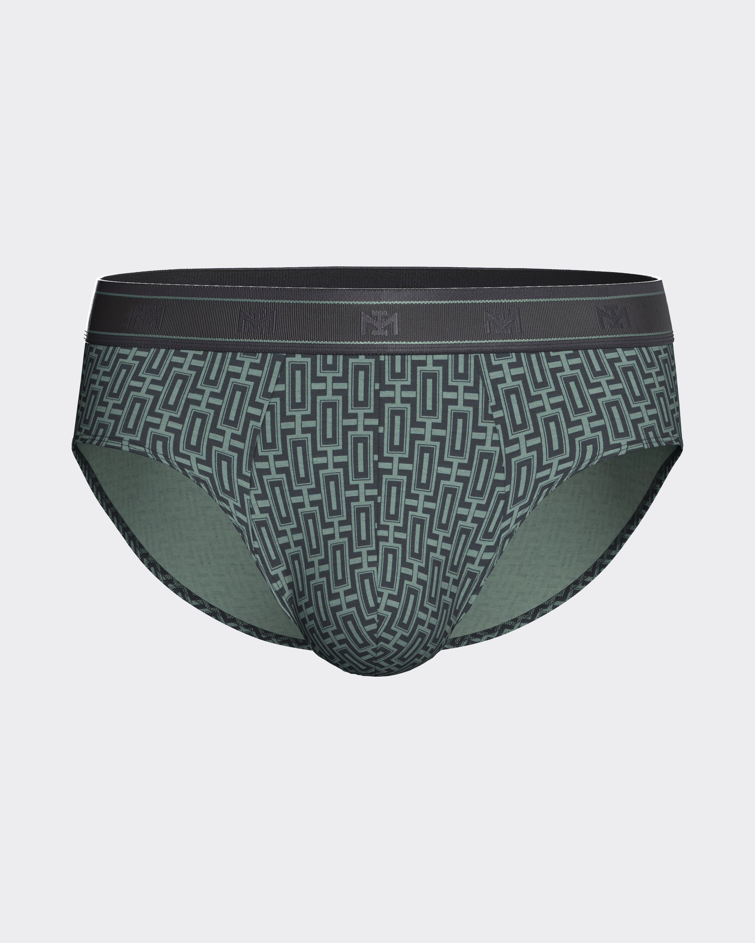 Pack of 2 men's Modal Cotton briefs