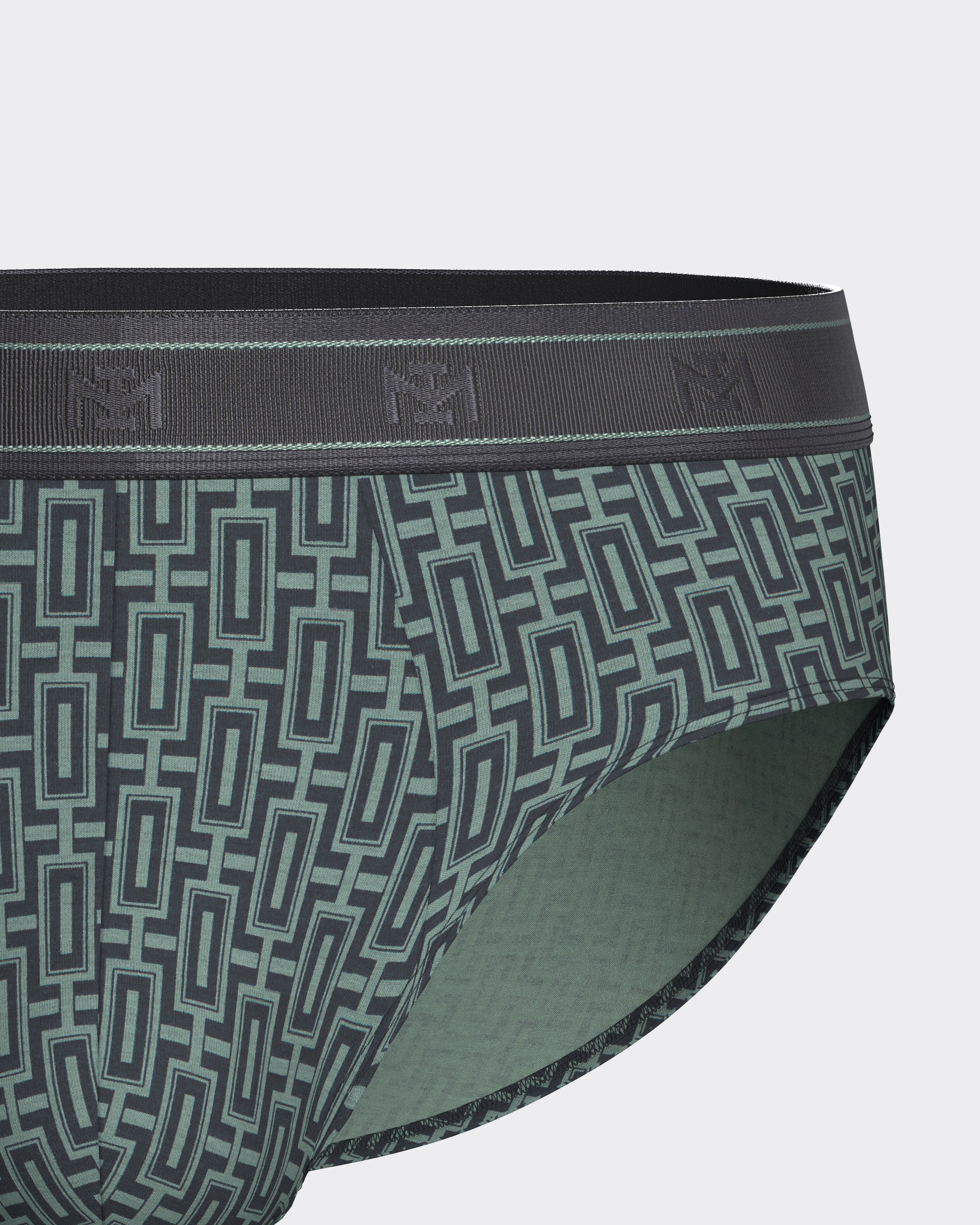 Pack of 2 men's Modal Cotton briefs