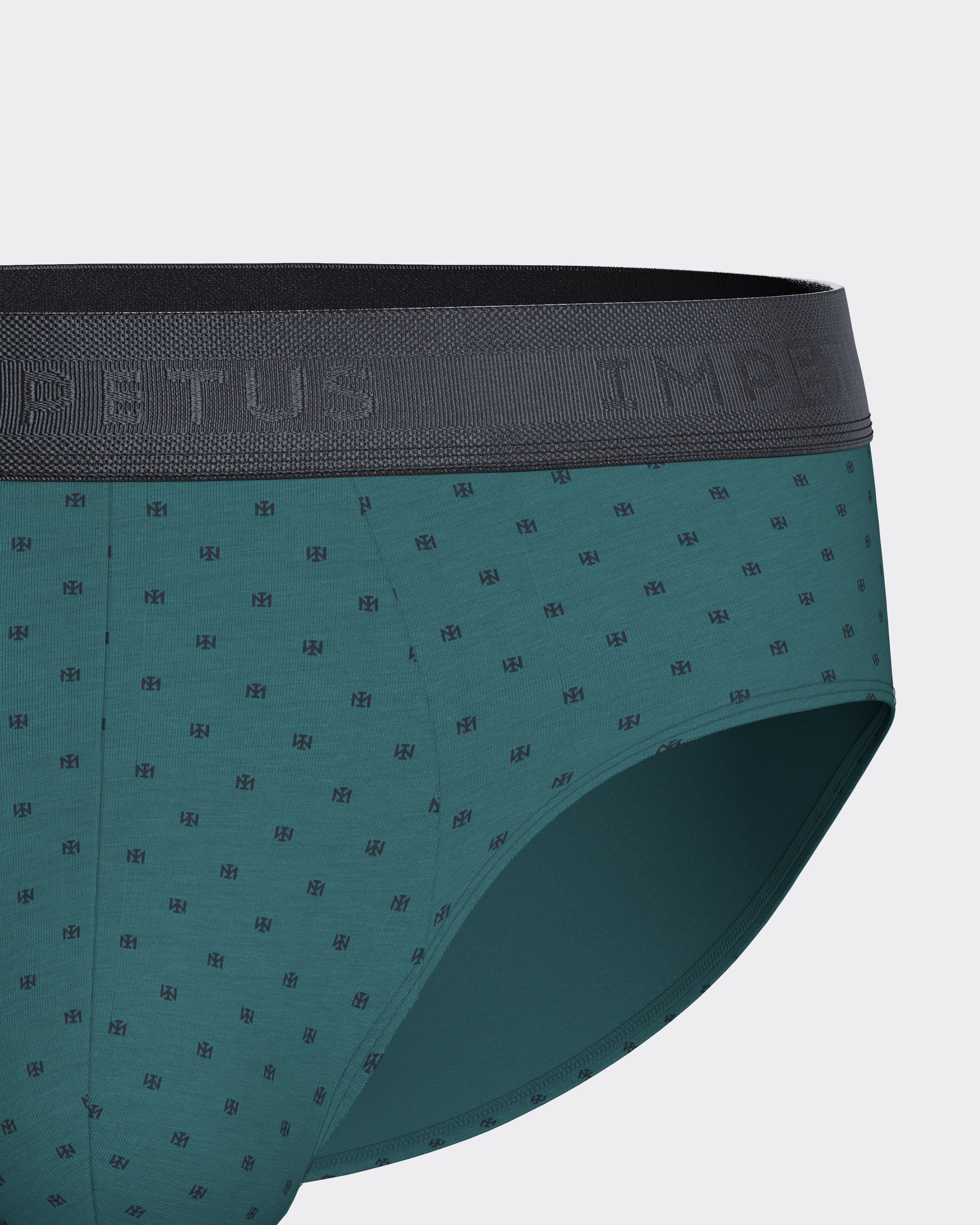 Pack of 2 men's Modal Cotton briefs