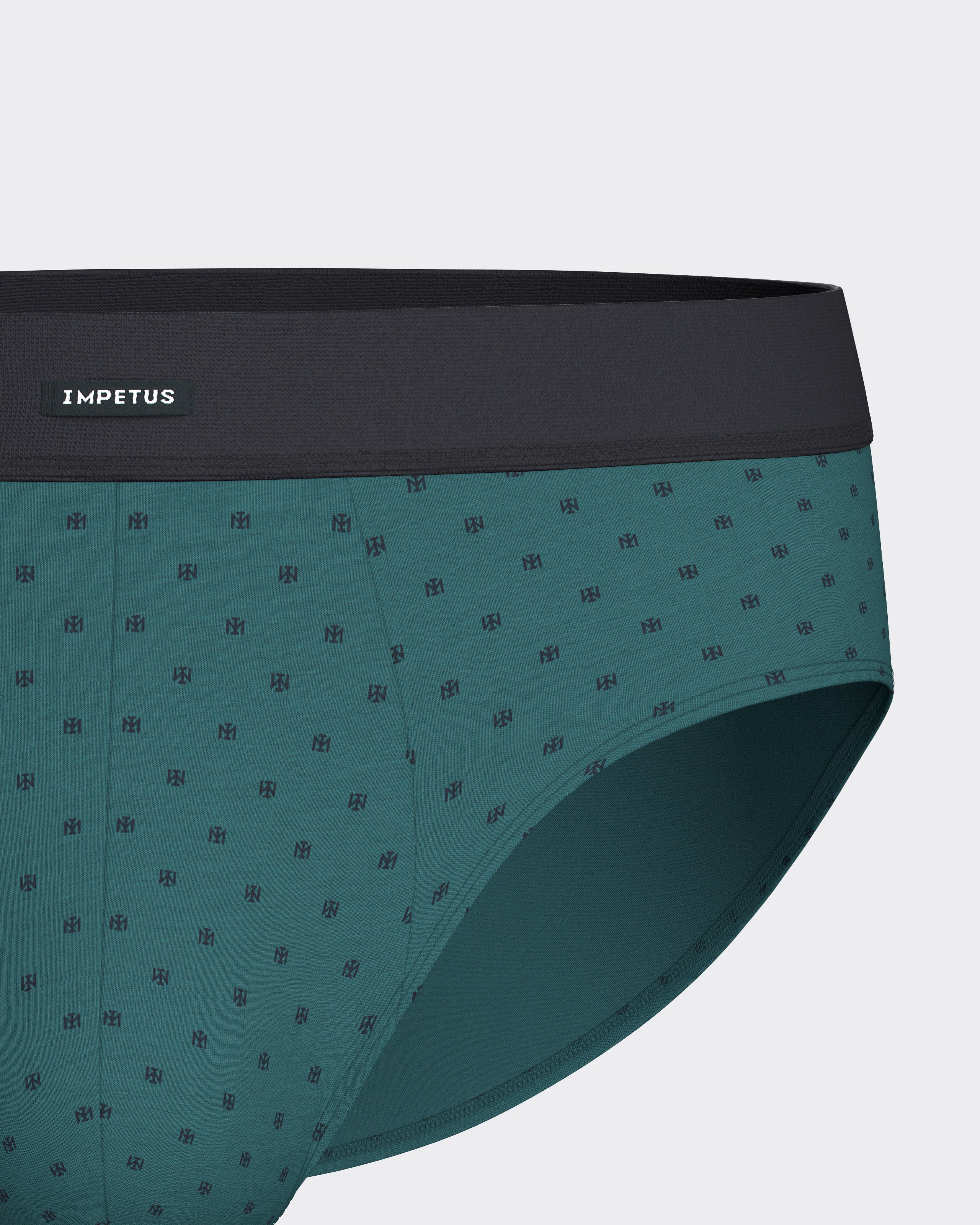 Pack of 2 men's Modal Cotton briefs