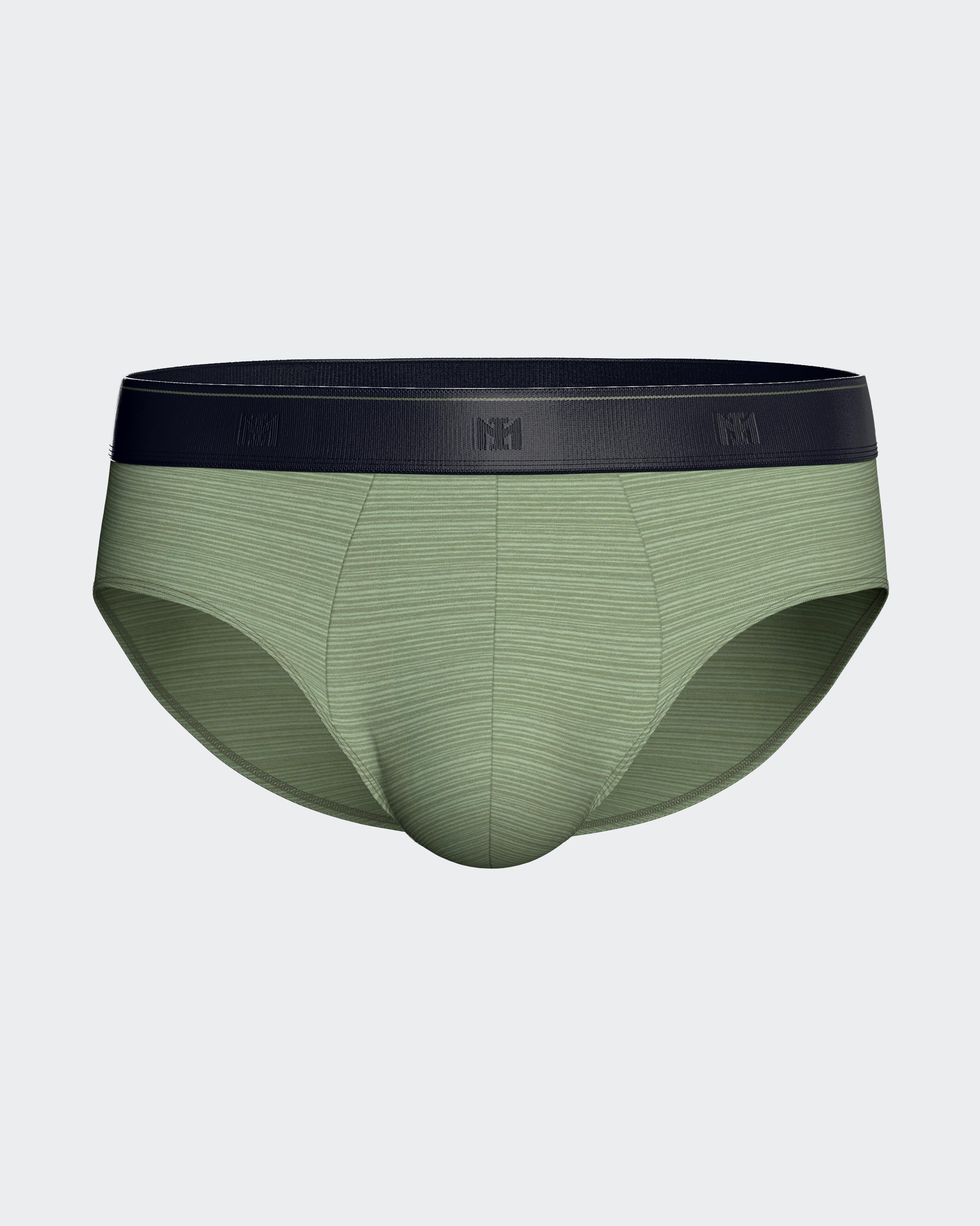 Pack of 2 men's Modal cotton briefs