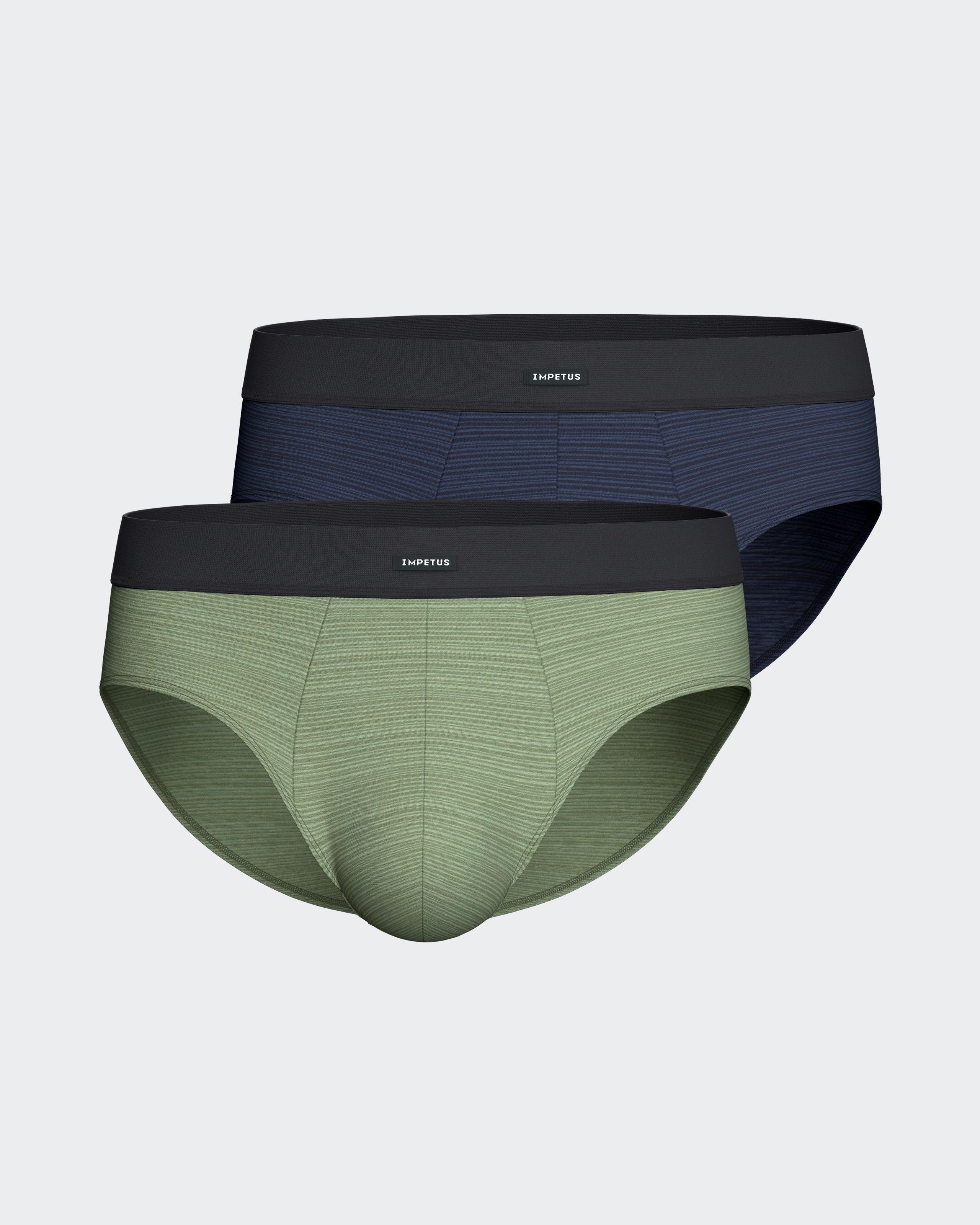 Pack of 2 men's briefs in cotton modal