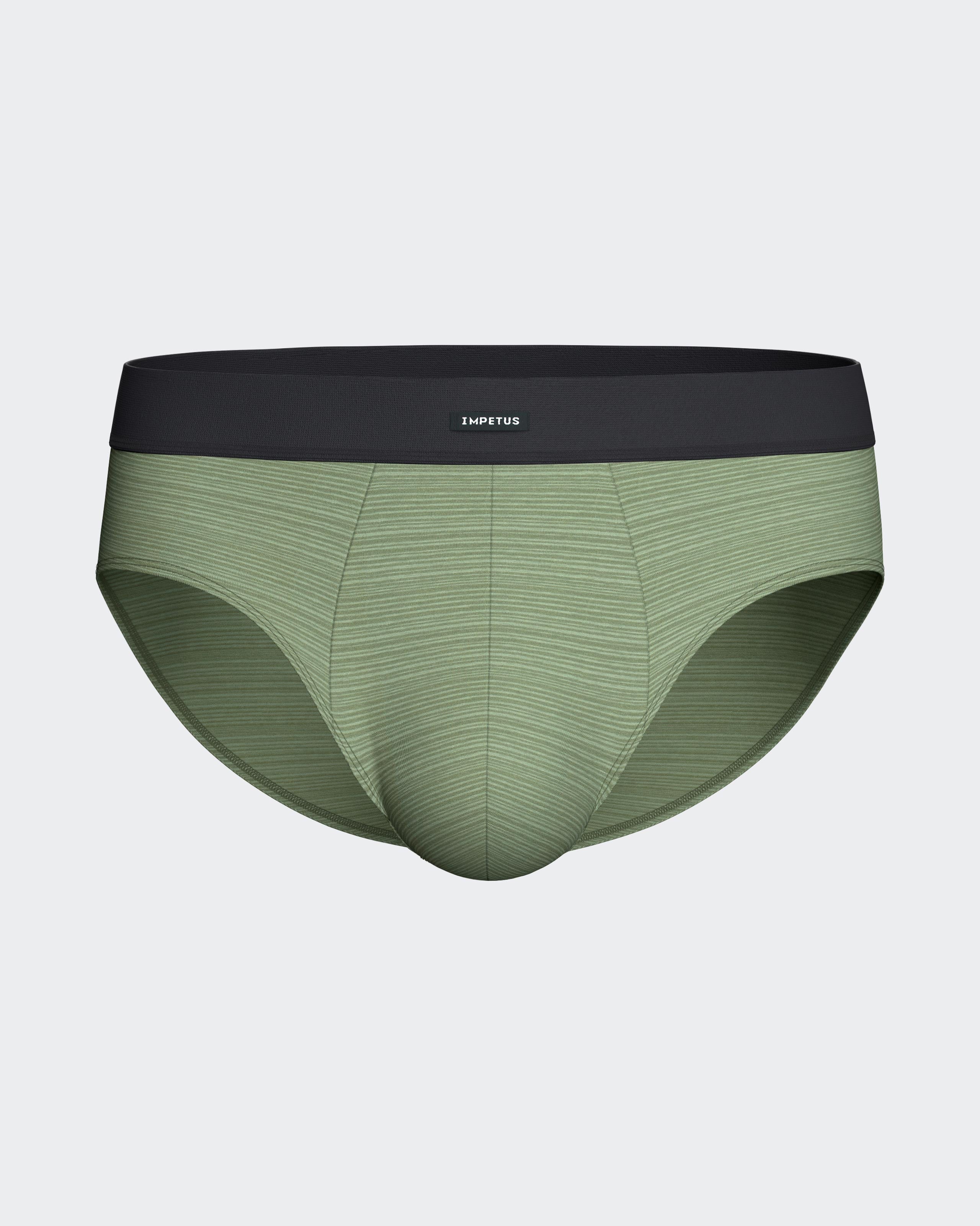 Pack of 2 men's briefs in cotton modal