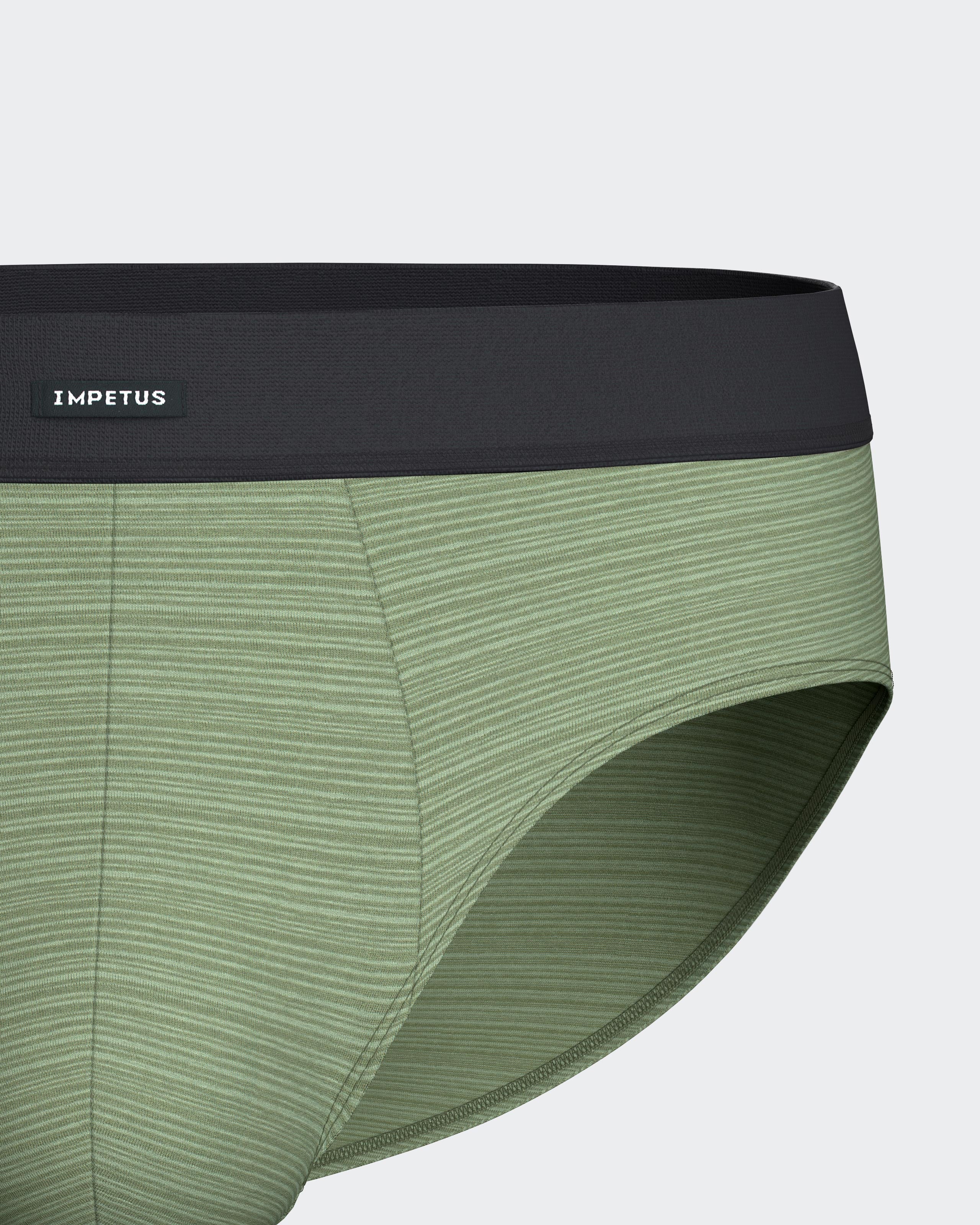 Pack of 2 men's briefs in cotton modal