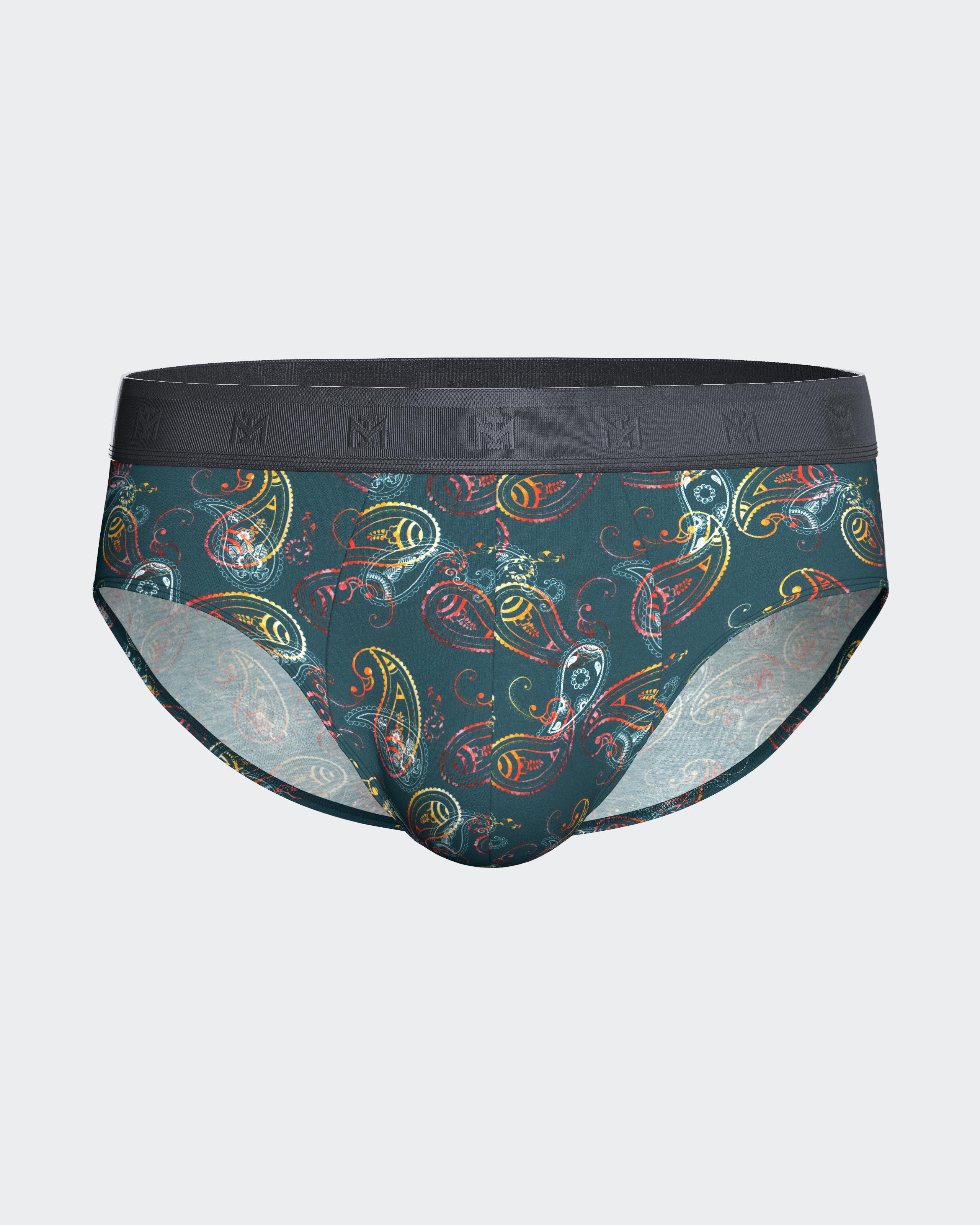 Pack of 2 men's briefs in Lyocell