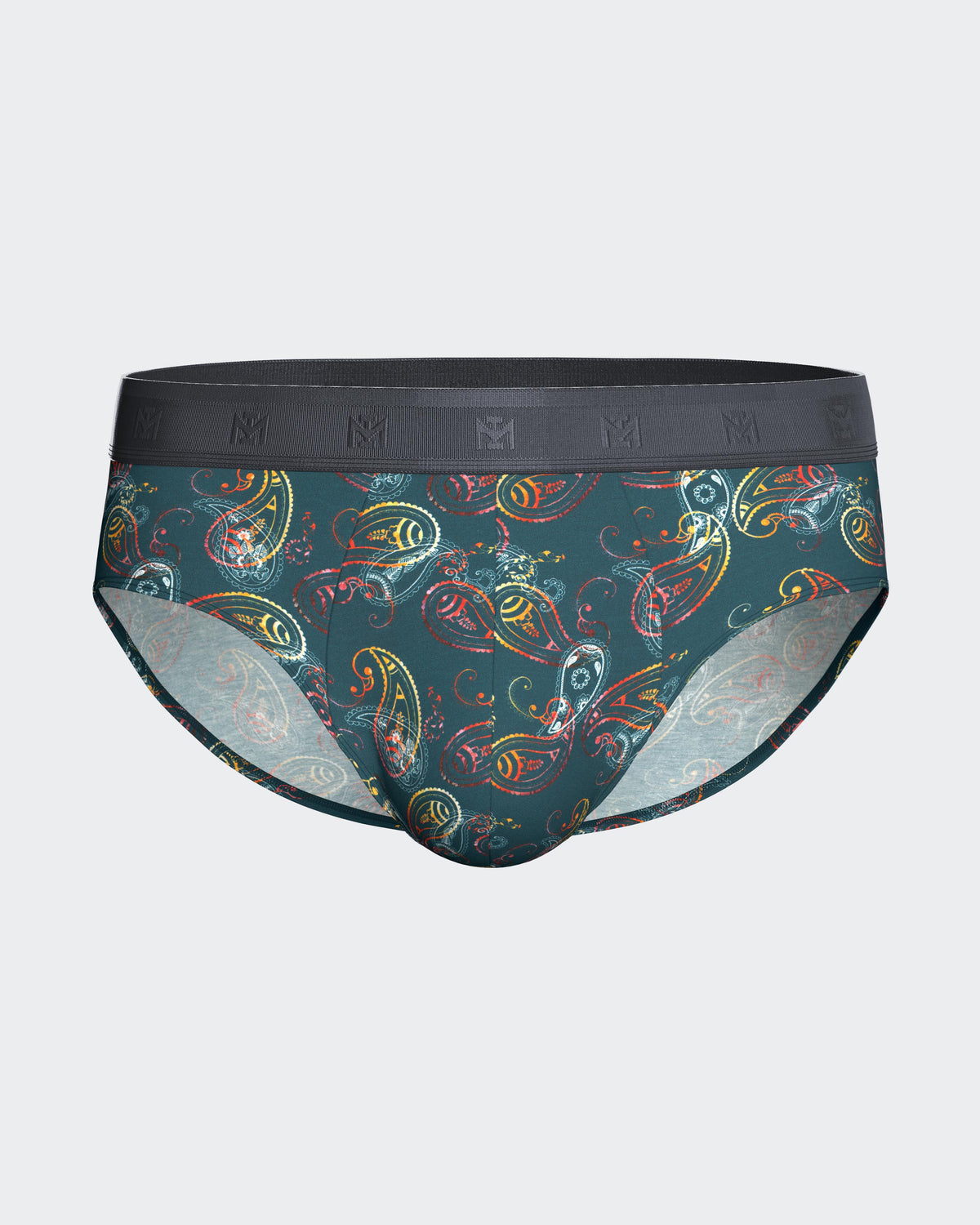 Pack of 2 men's briefs in Lyocell