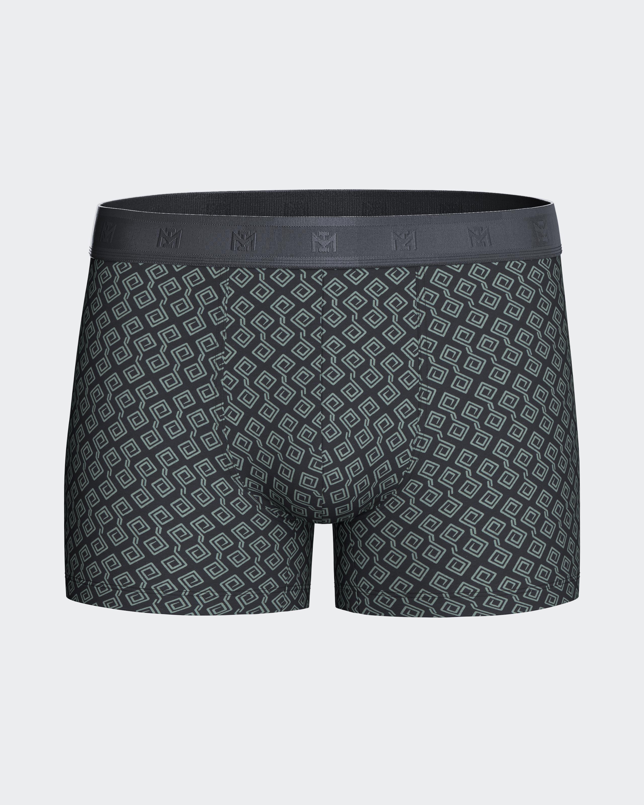 Pack of 2 men's boxer in Lyocell