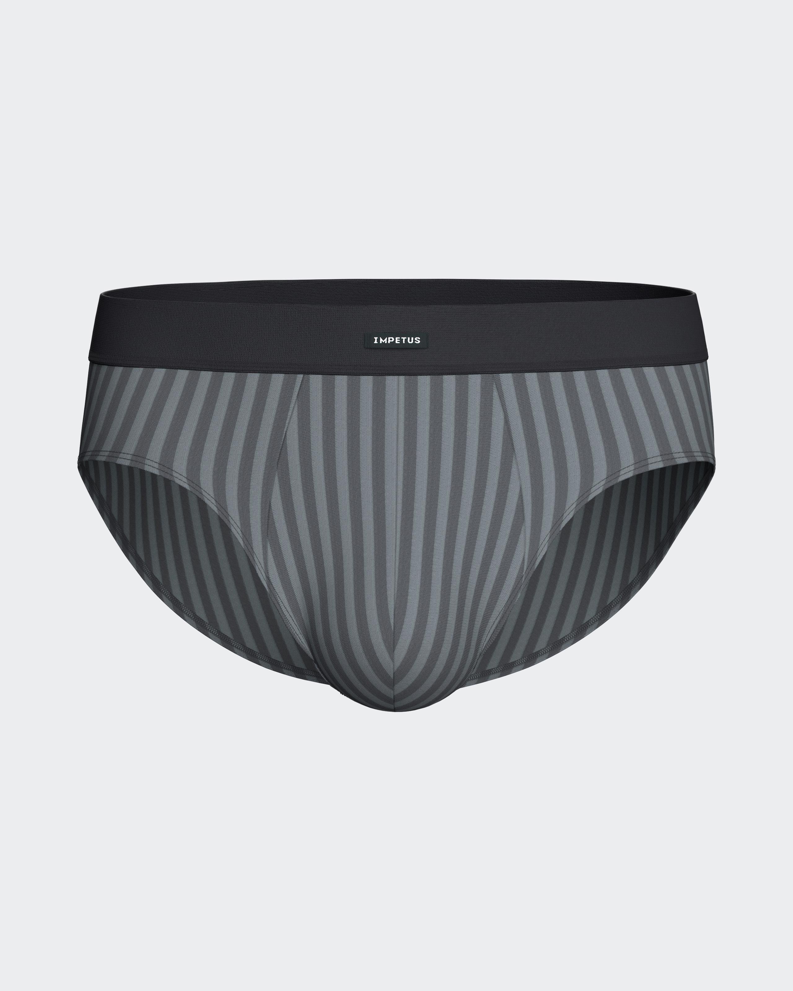 Pack of 2 men's briefs in cotton modal