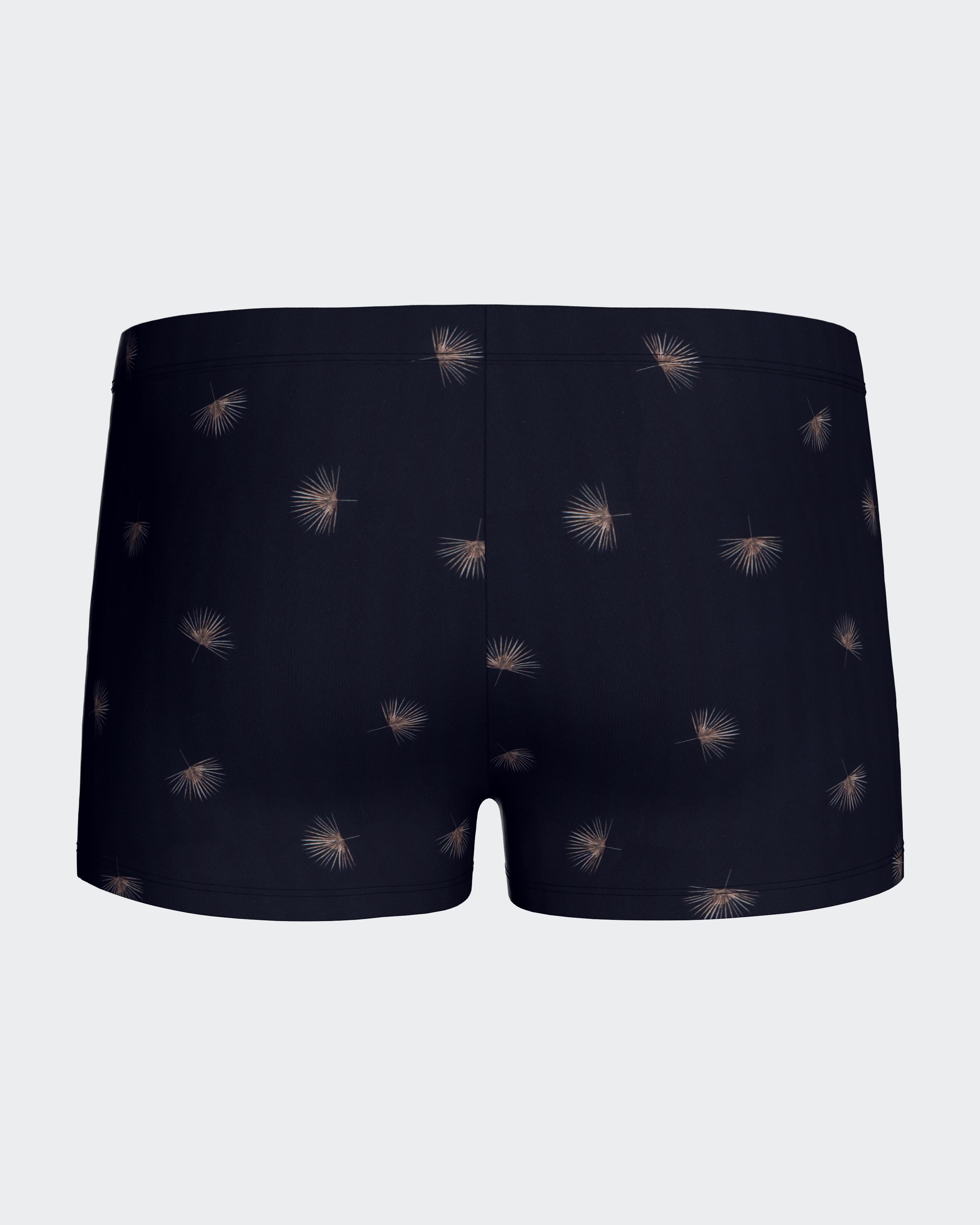 Swimming Boxer with micromotif