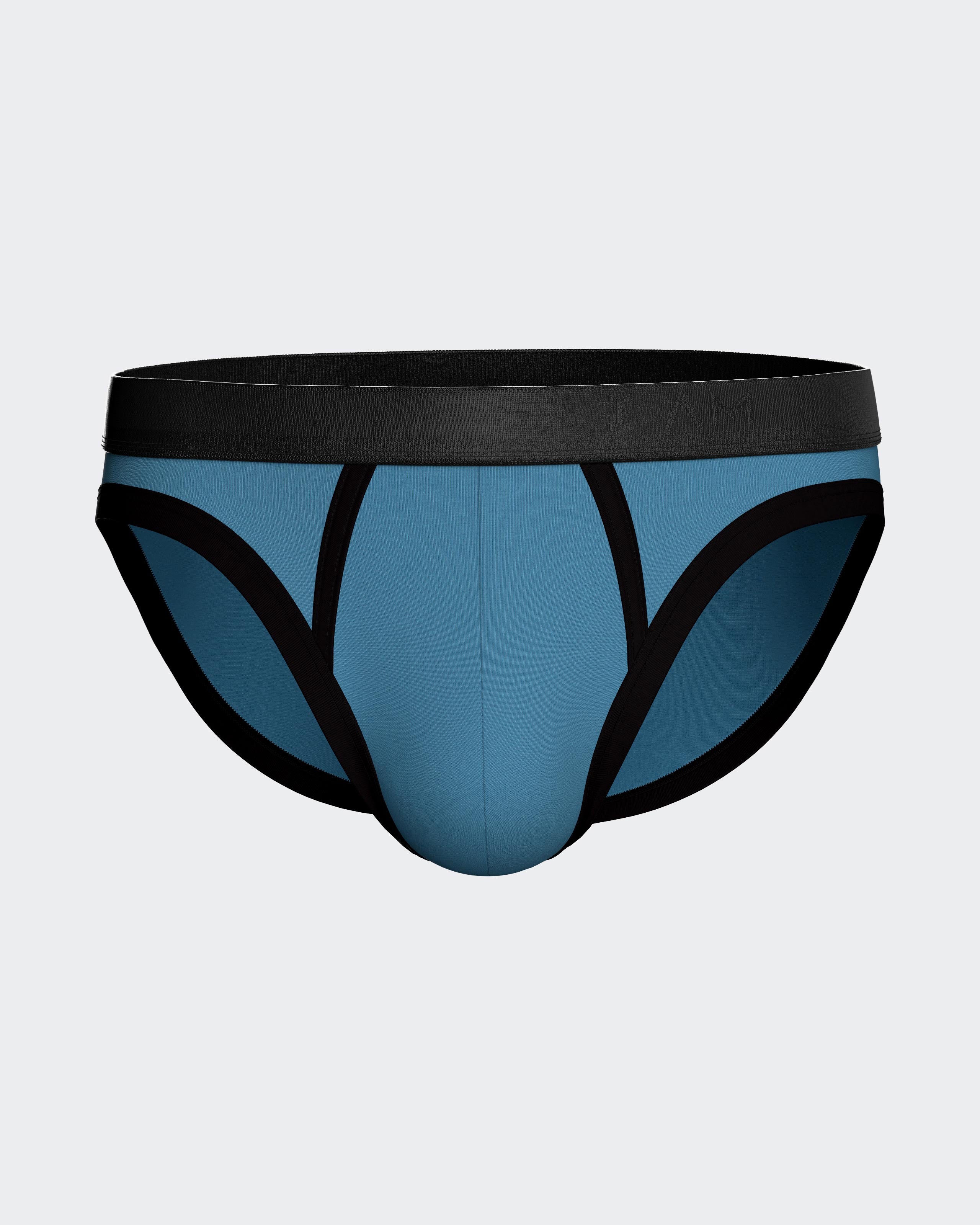 Pack of 2 men's briefs in Lyocell