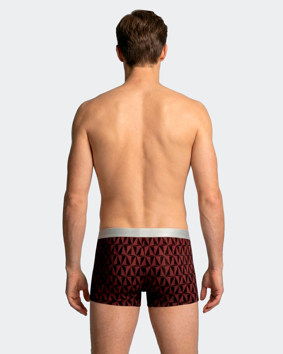 Pack of 2 men's boxer in Lyocell