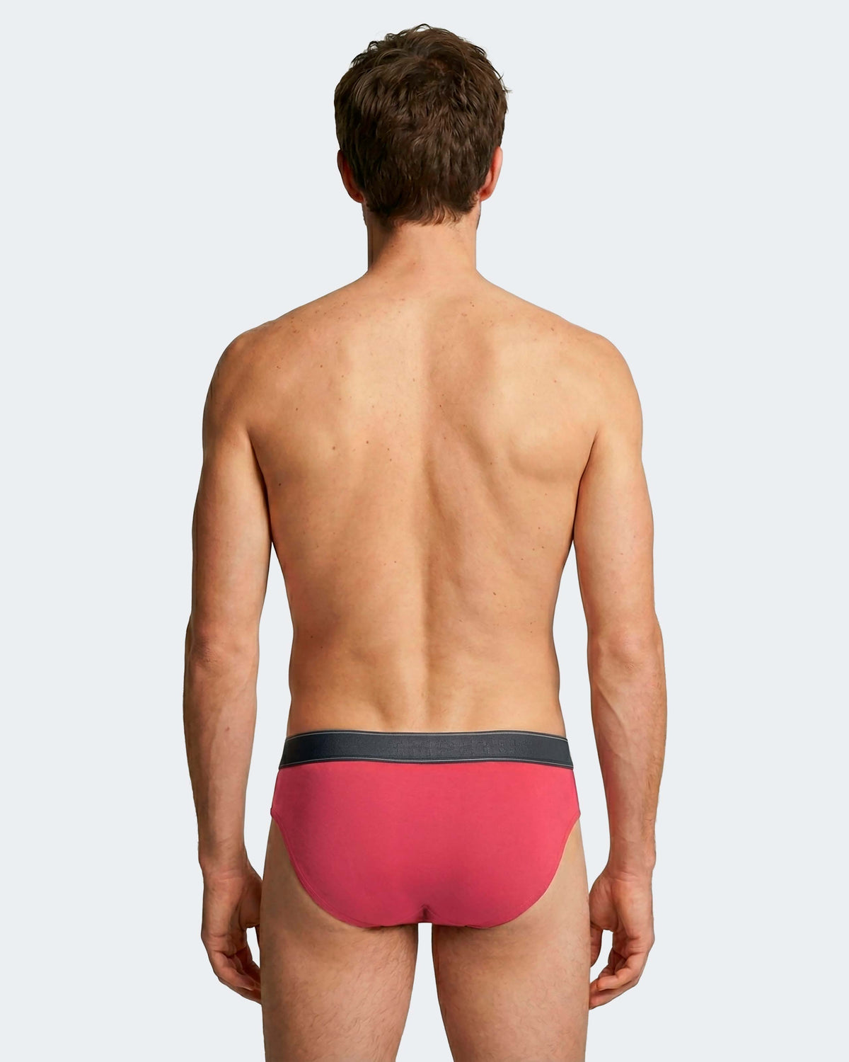Pack of 3 men's briefs in Cotton