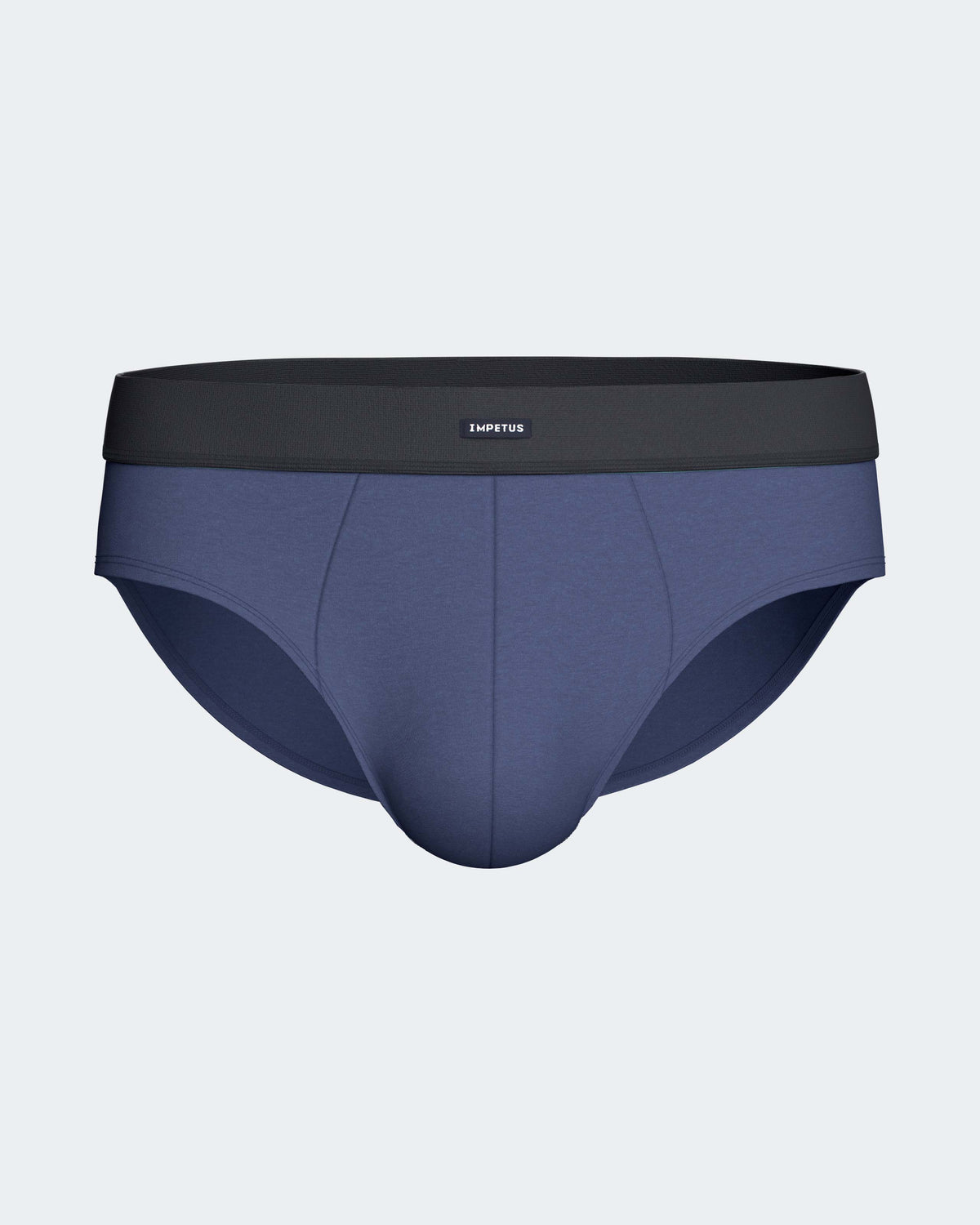 Pack of 2 men's briefs in Cotton Modal