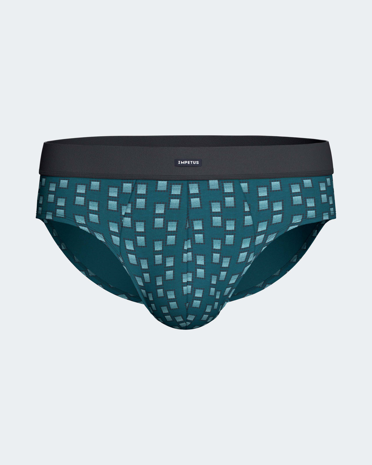 Pack of 2 men's briefs in Cotton Modal