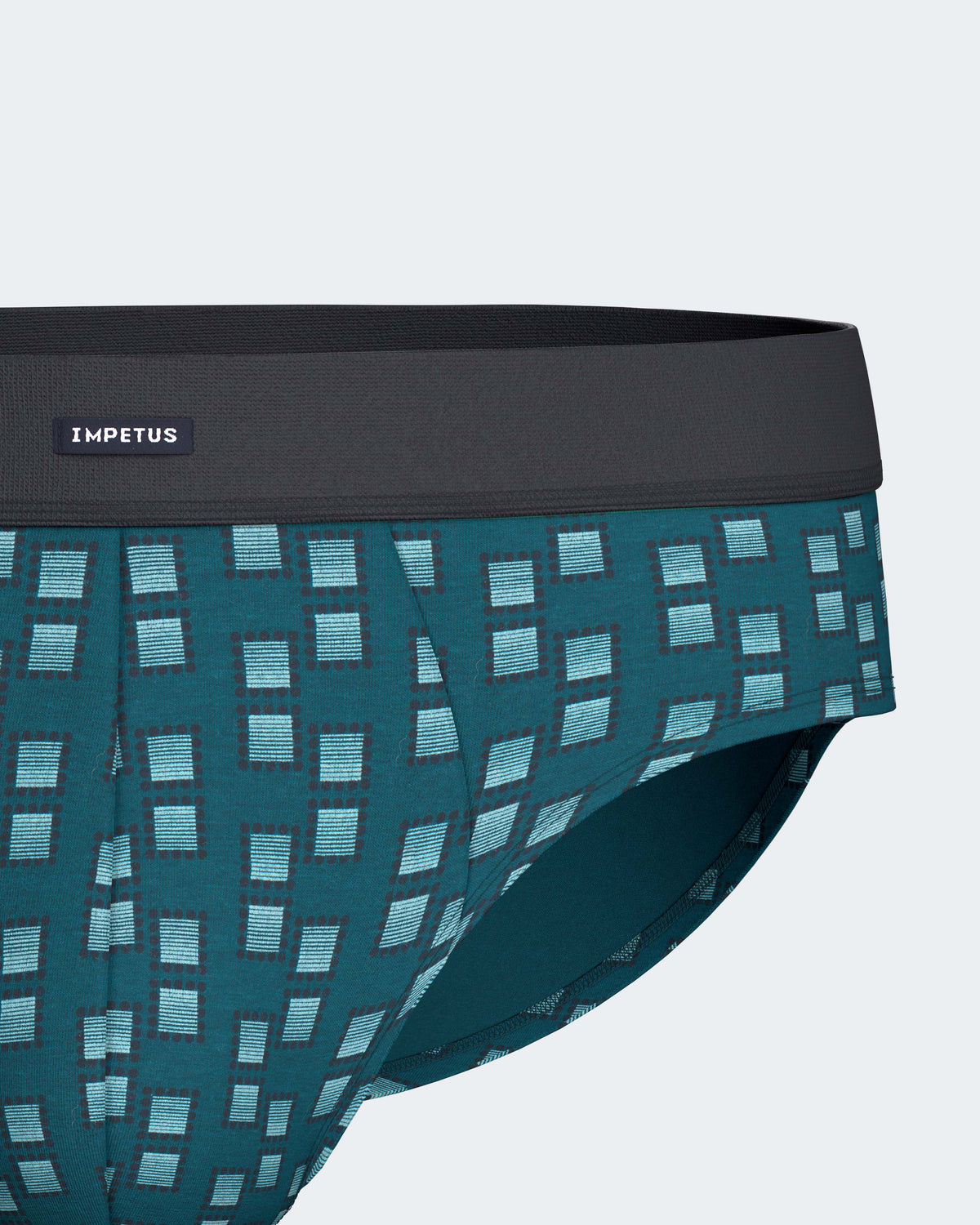 Pack of 2 men's briefs in Cotton Modal