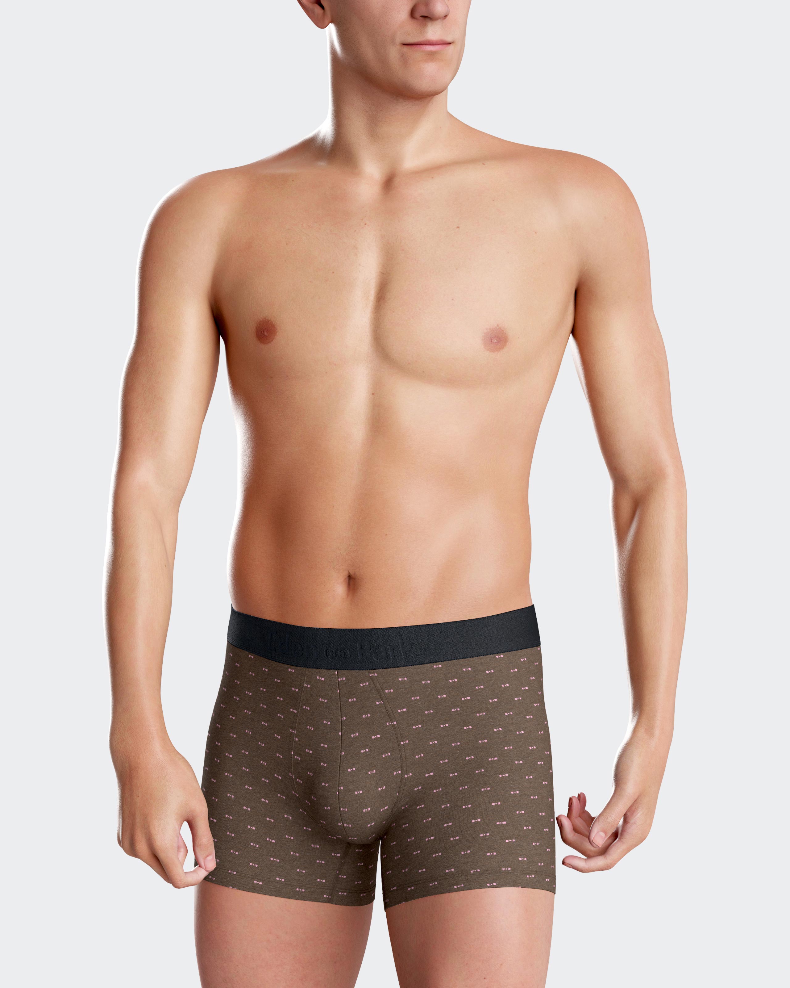 Boxer estampado Eden Park