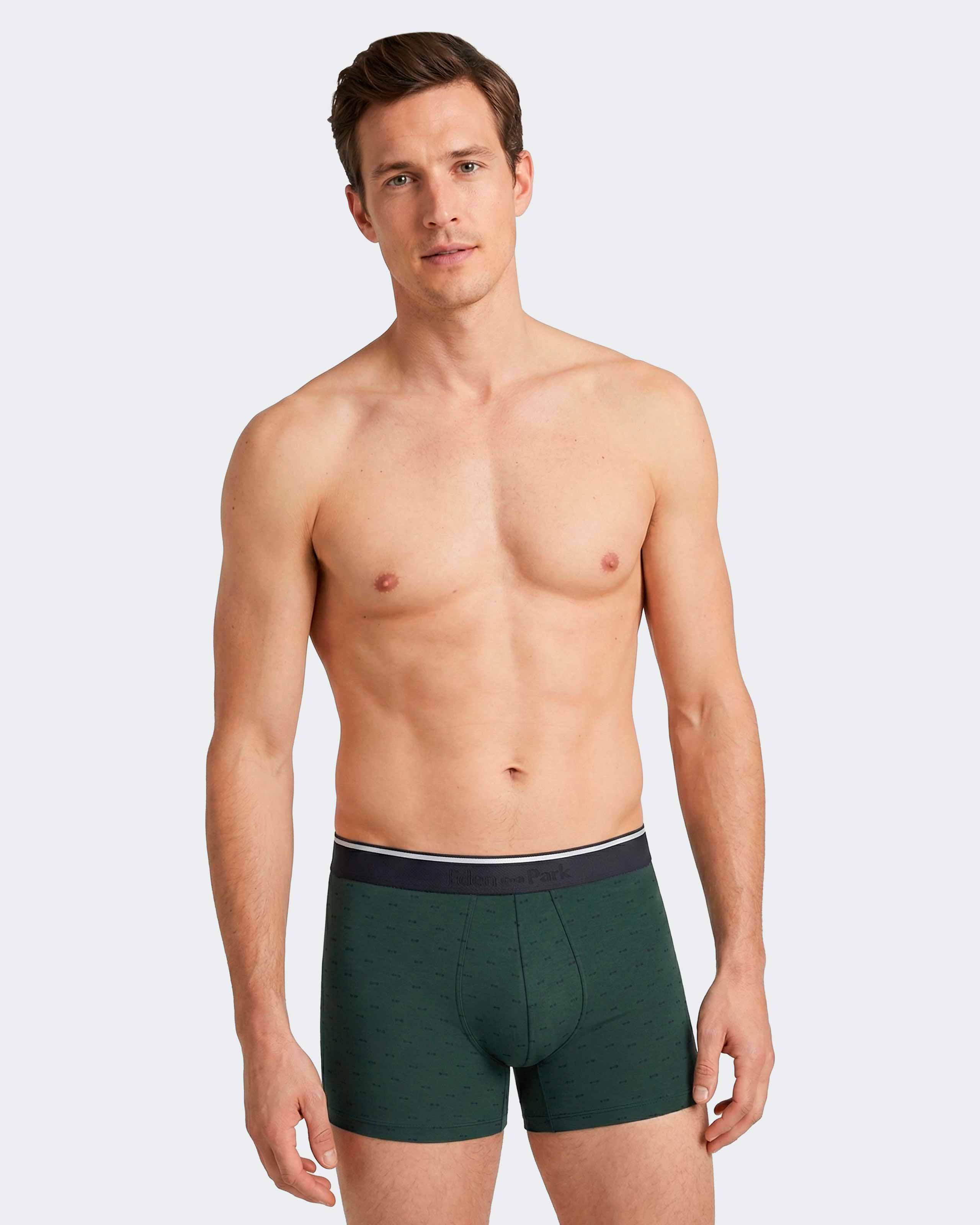Pack of 2 micromotif boxers Eden Park