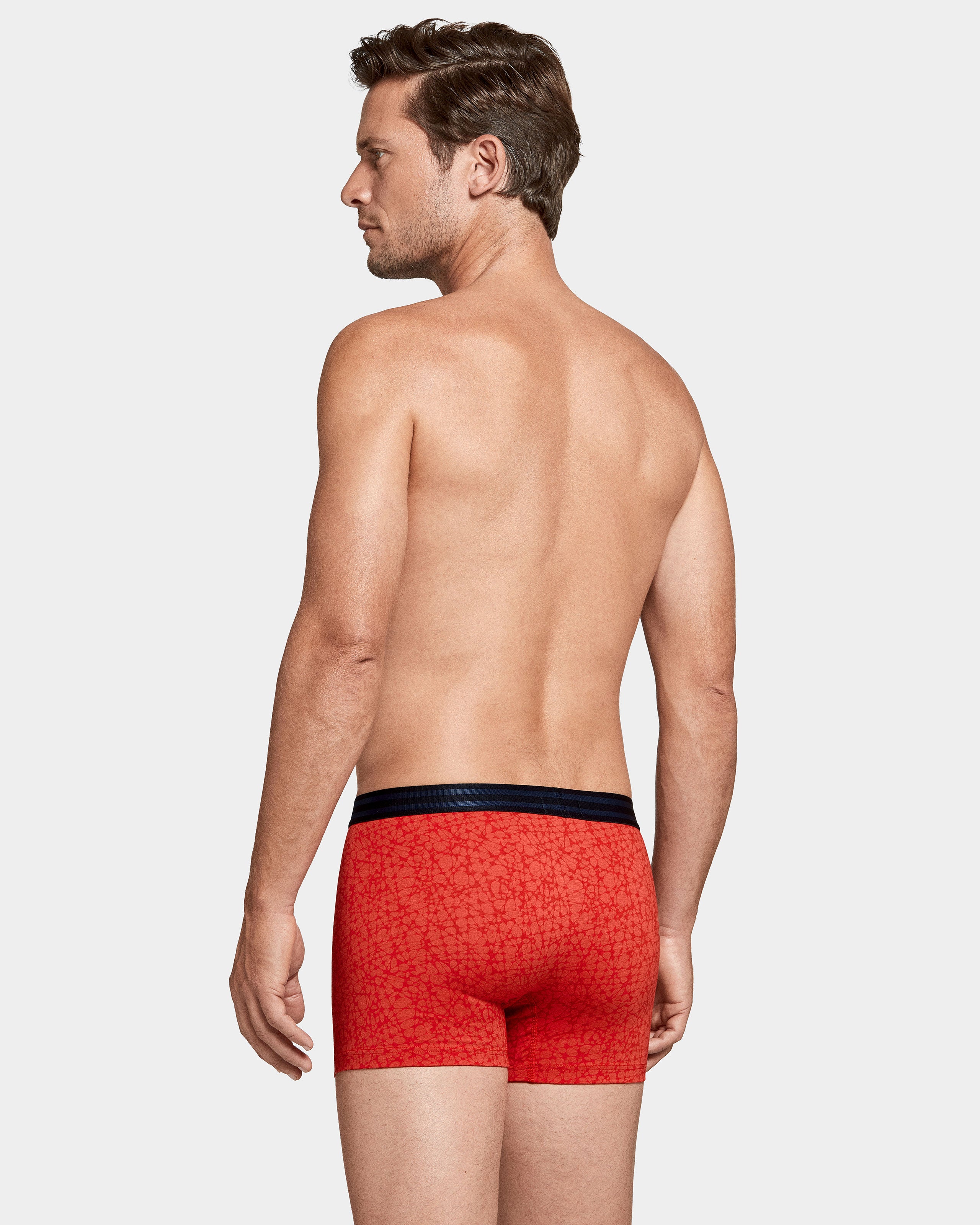 Boxer estampado Platos