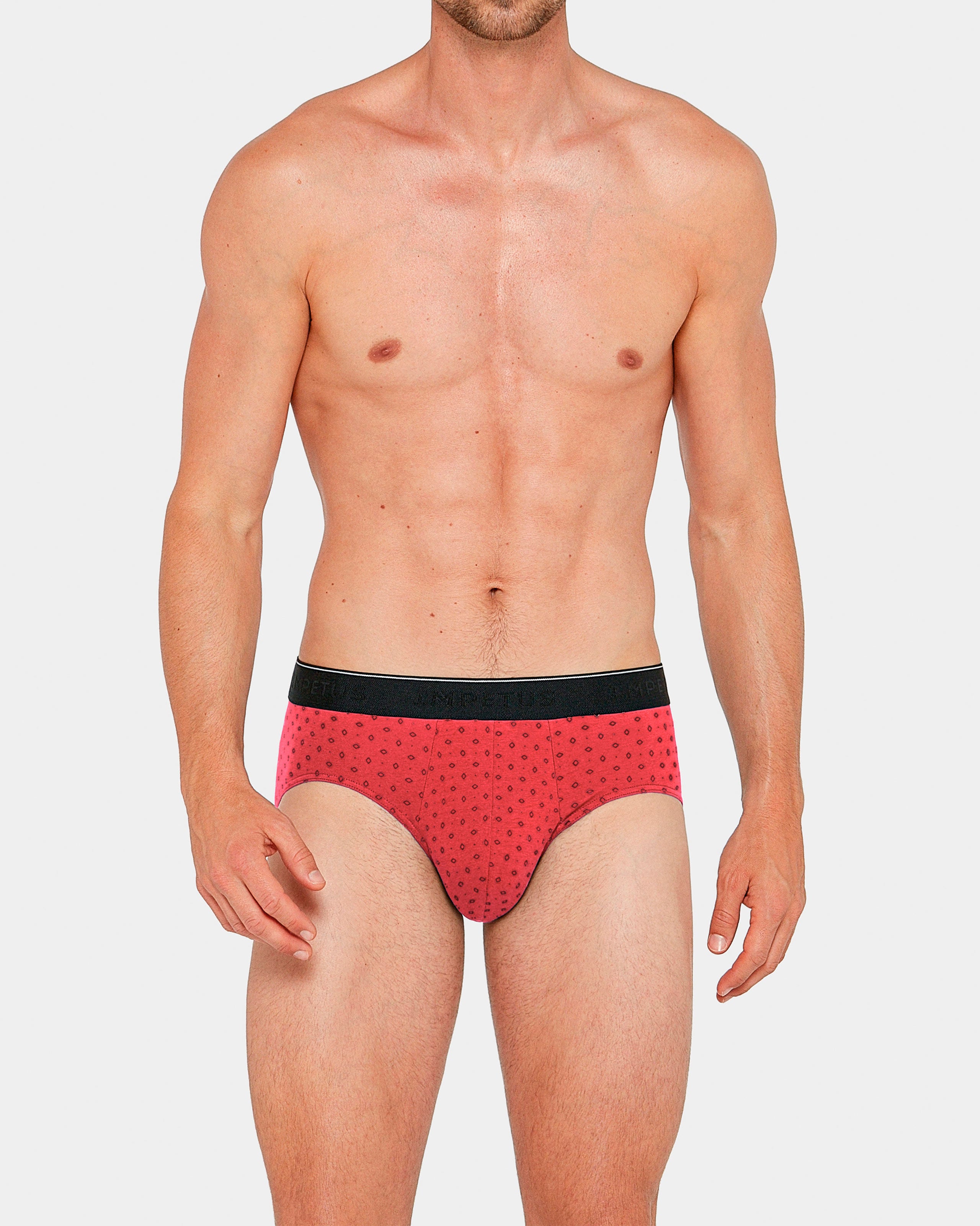 2 Pack Briefs Besar