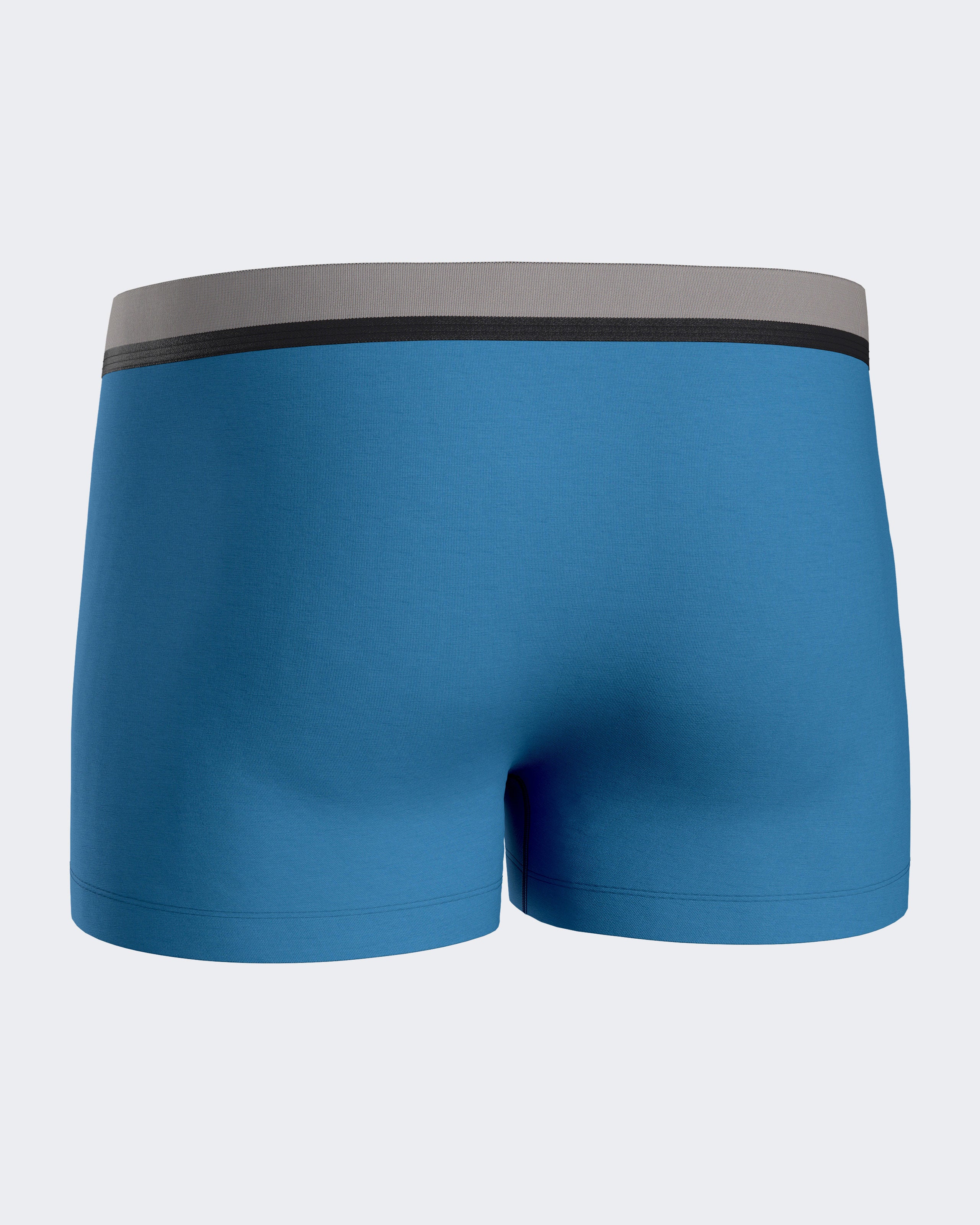 Pack of 2 men's boxers in Lyocell