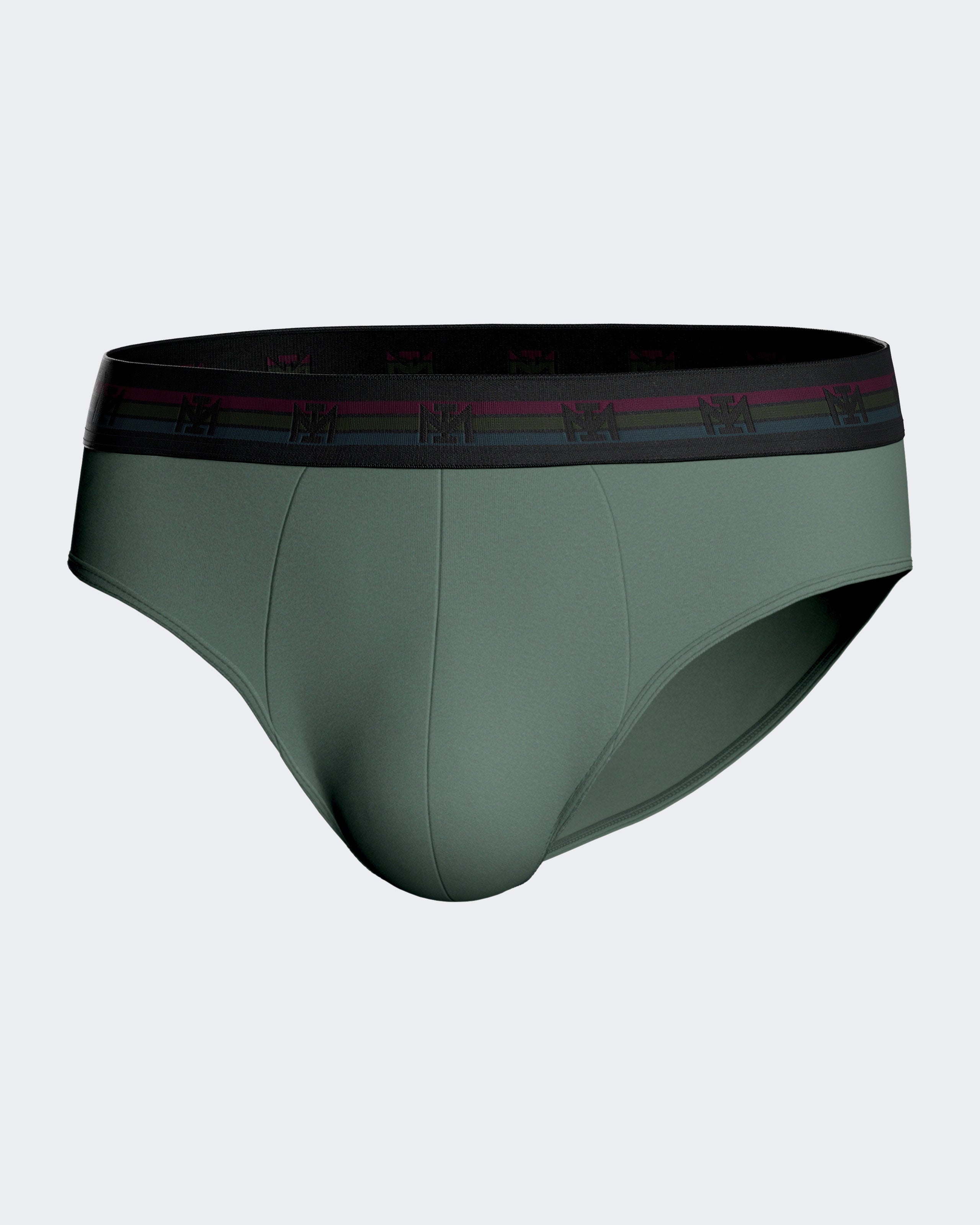 Pack de dois slips de homem lisos em Algodão