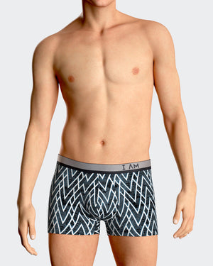 Pack of 2 printed man's boxers in Lyocell