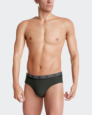 Pack of 2 plain briefs in Lyocell