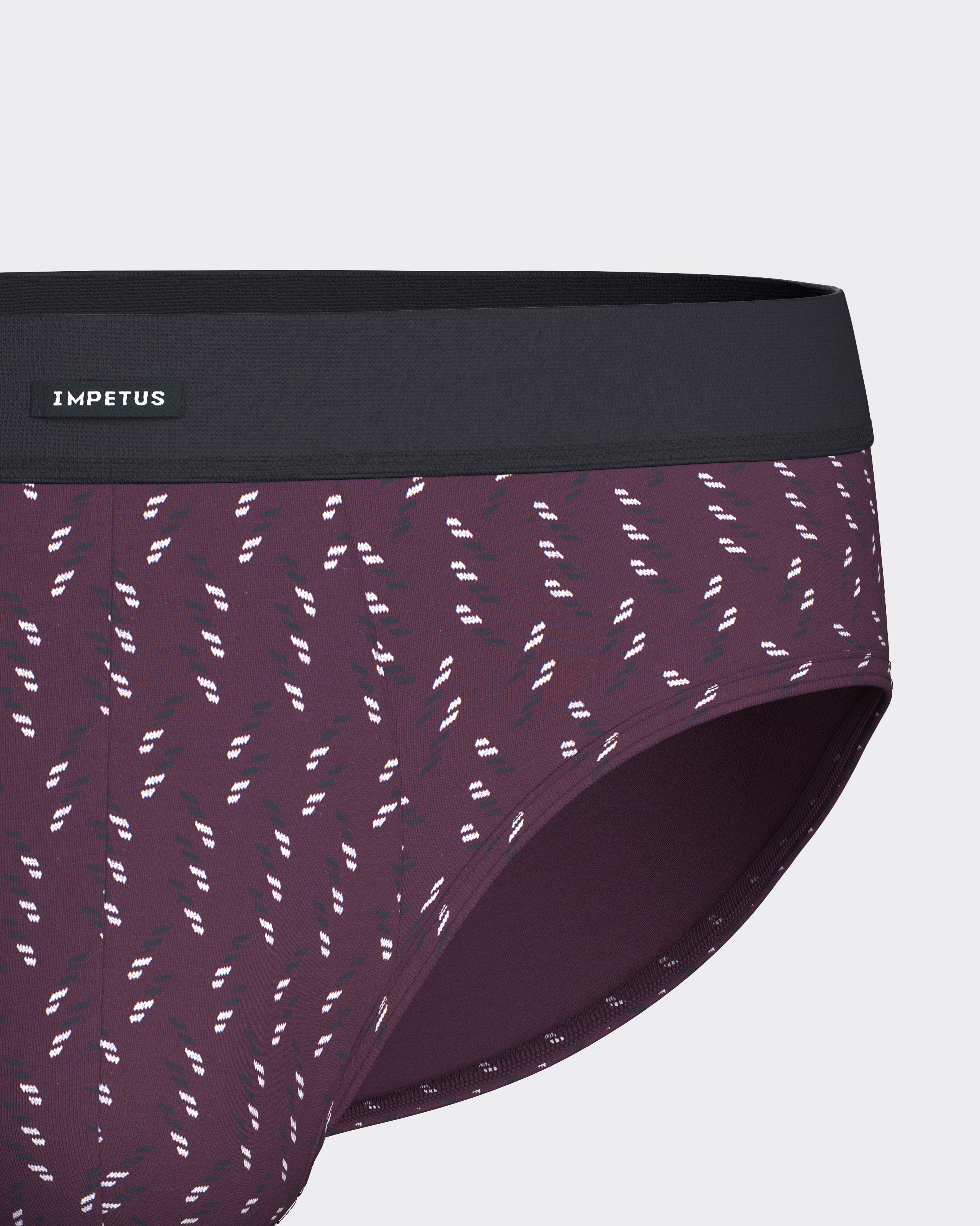 Pack of 2 men's briefs in Modal Cotton