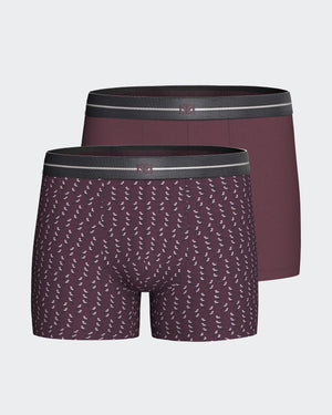 Pack of 2 men's boxers in Modal Cotton
