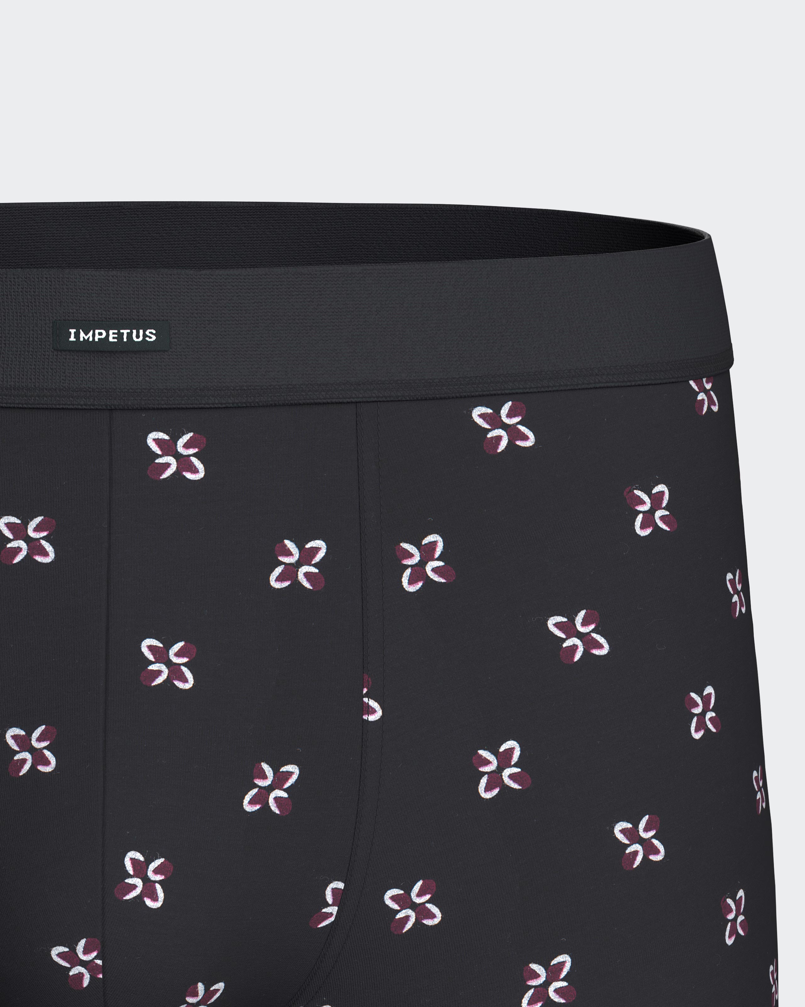 Pack of 2 men's boxers in Cotton