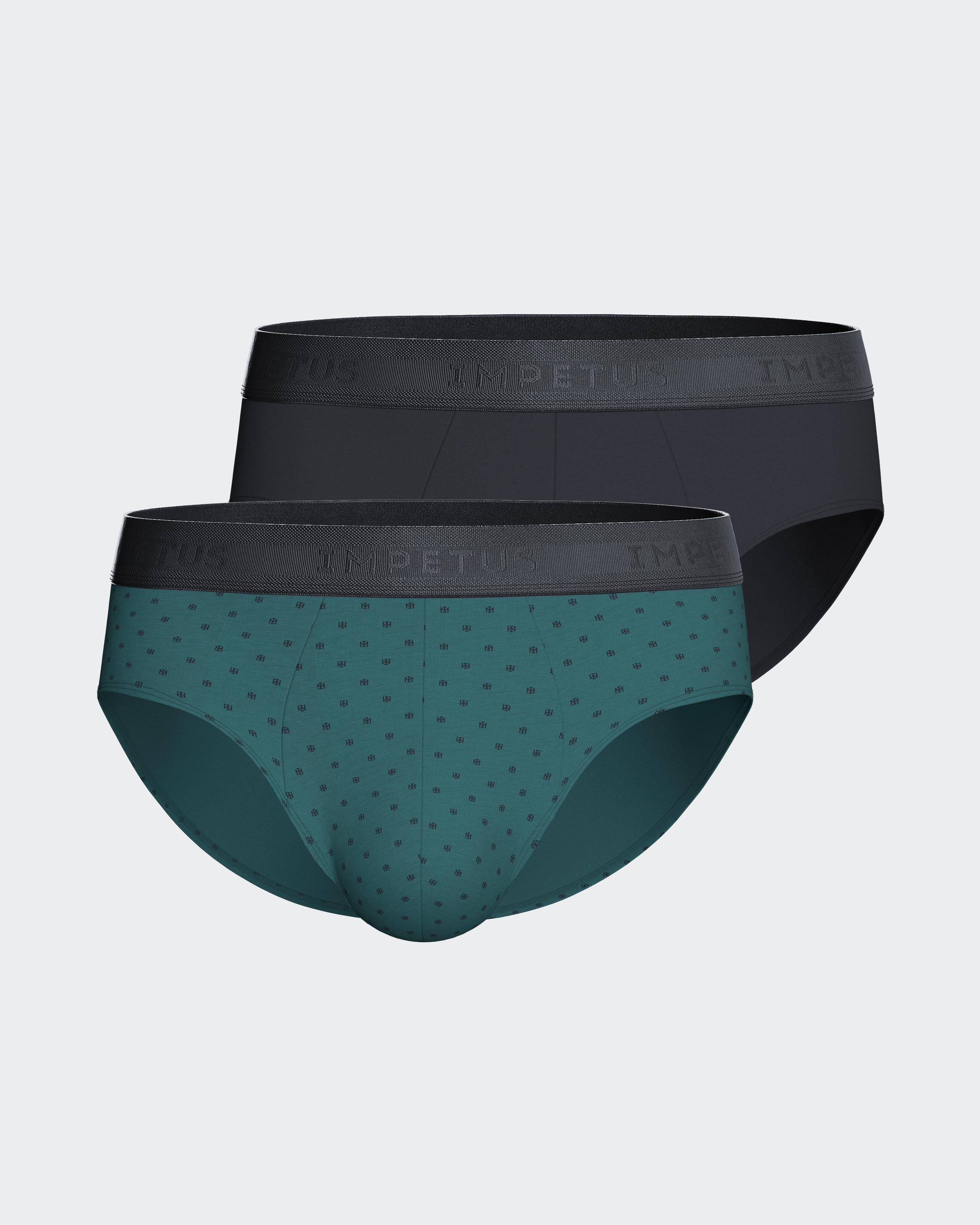 Pack of 2 men's Modal Cotton briefs