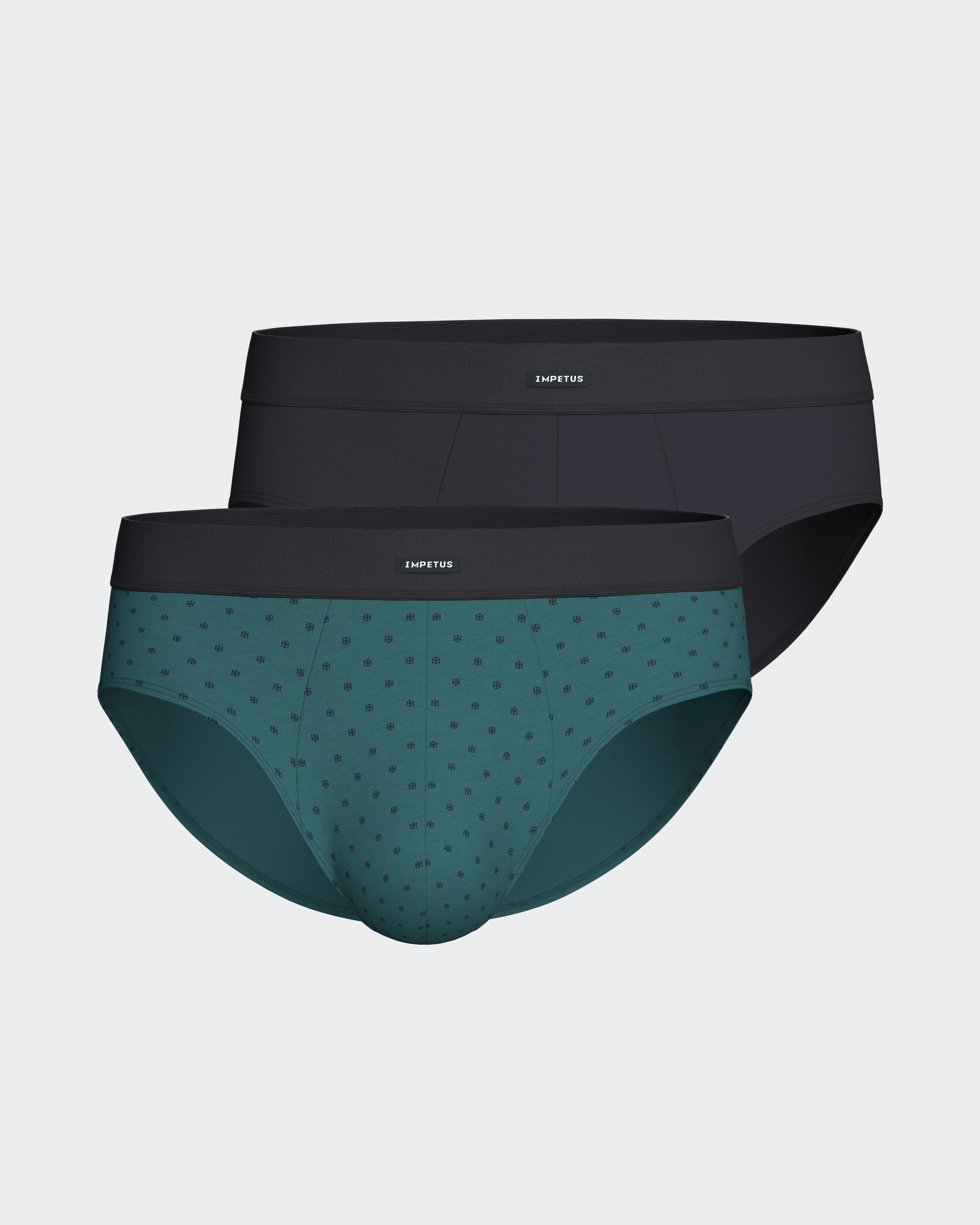 Pack of 2 men's Modal Cotton briefs