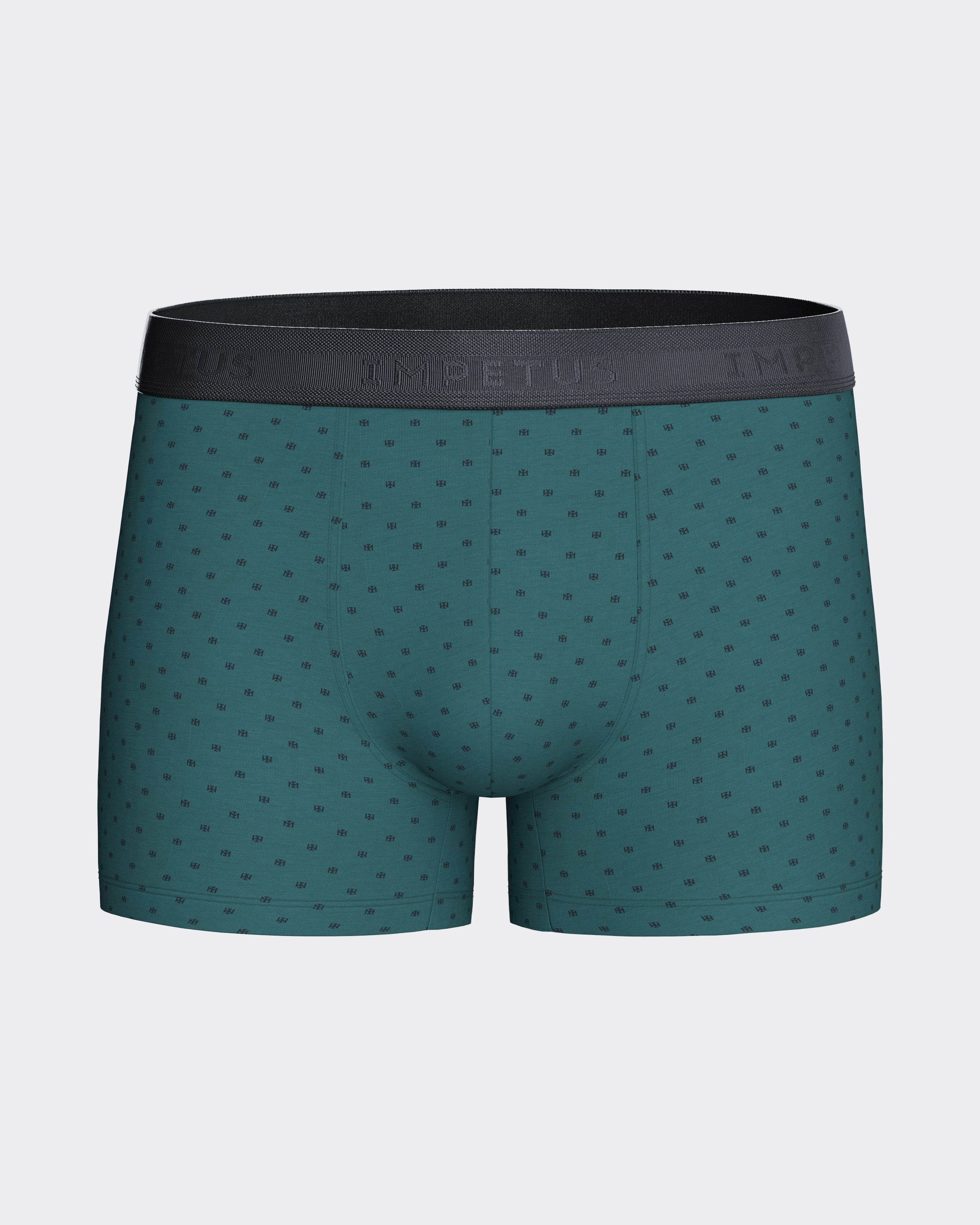 Pack of 2 Men's Boxers in Modal Cotton